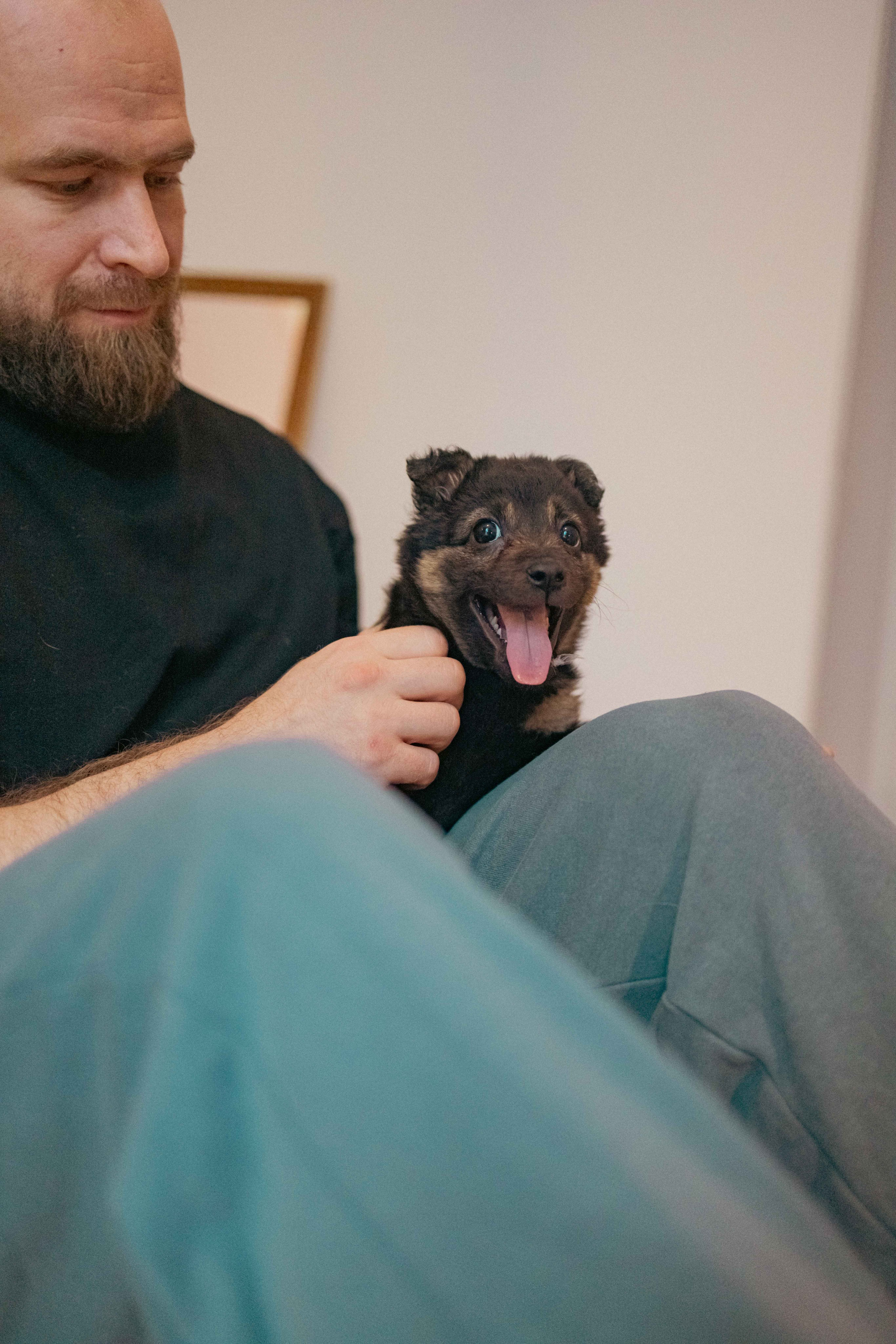 Пеппа. Фотограф-анималист в Москве Лера Черноног