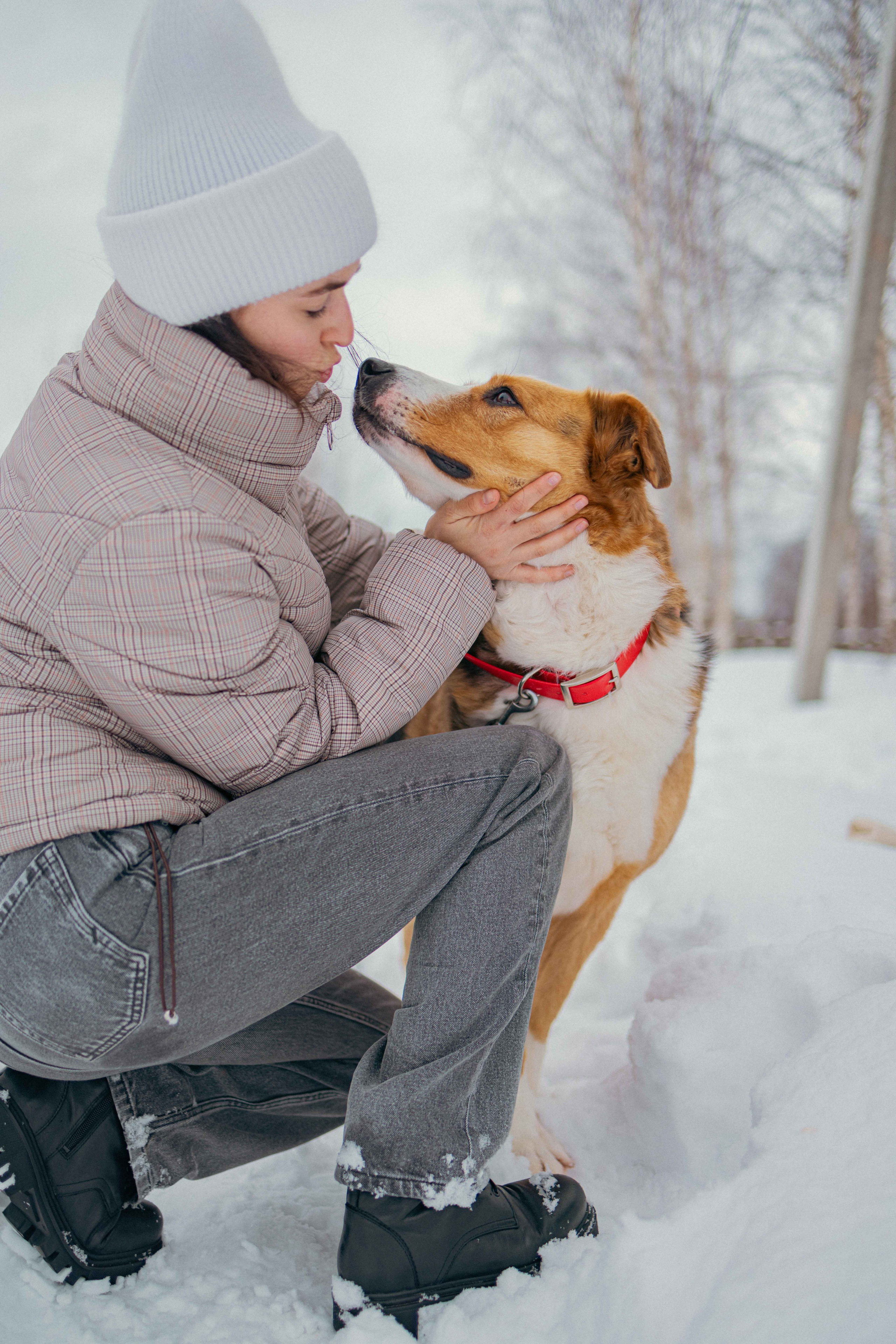 Петя. Фотограф-анималист в Москве Лера Черноног