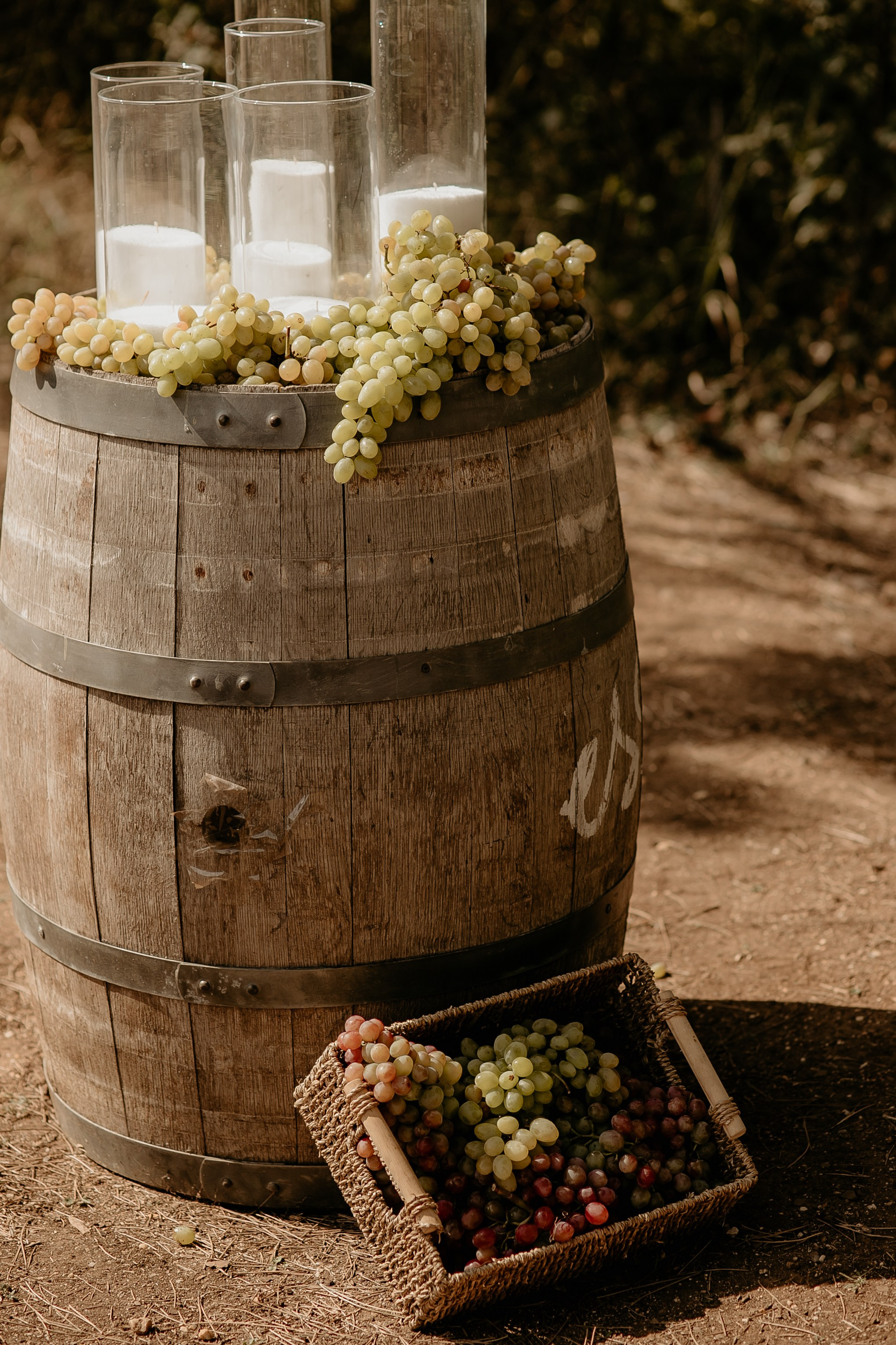 Wedding on winery. Свадебный фотограф в Севастополе и Крыму| Tanya Sher