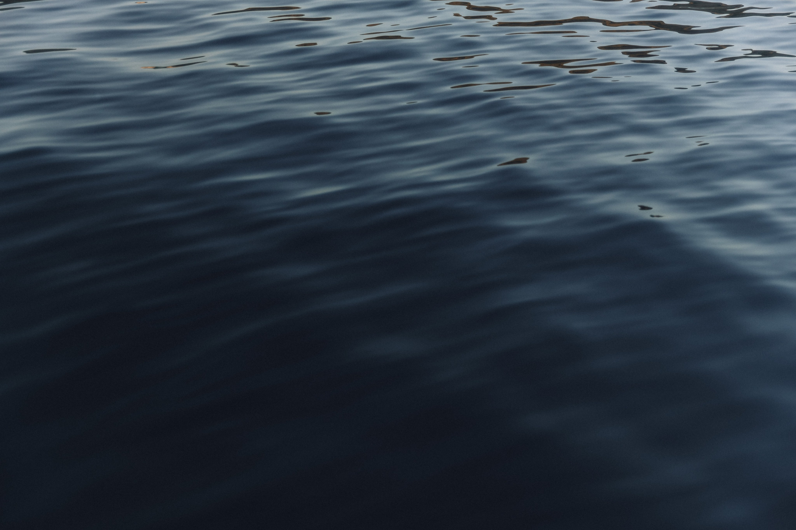 Susanna & Grigoriy. Свадебный фотограф в Севастополе и Крыму| Tanya Sher