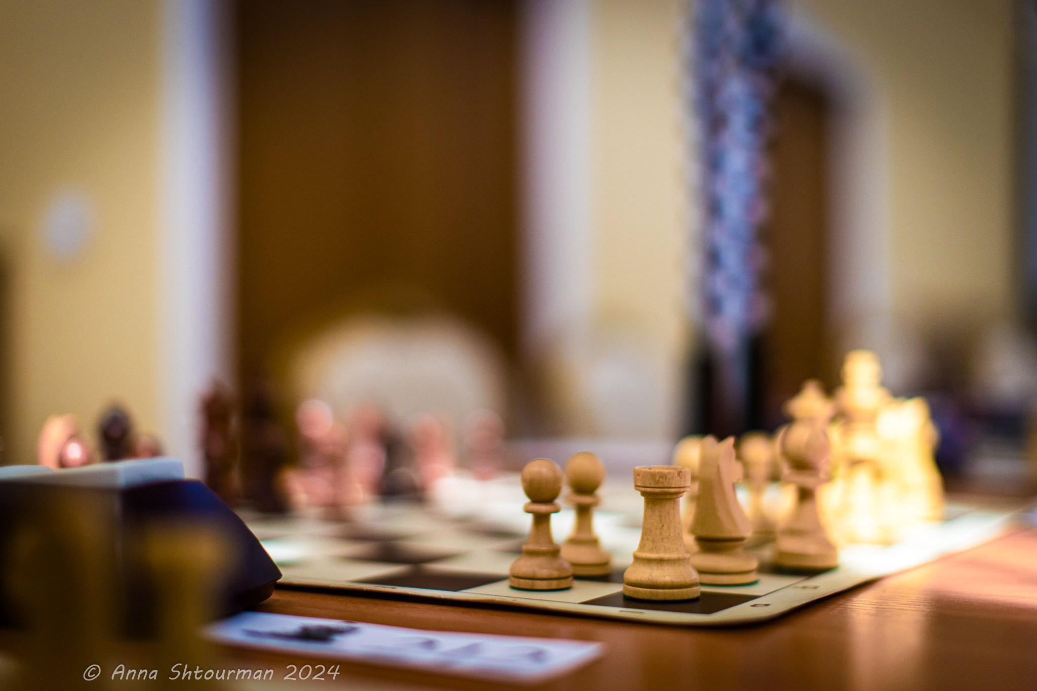 2024.07.03-11 Кубок Волги — шахматный фестиваль — классика. Фотограф Анна Штурман (репортажная съёмка любых событий и мероприятий) Anna Shtourman photographer