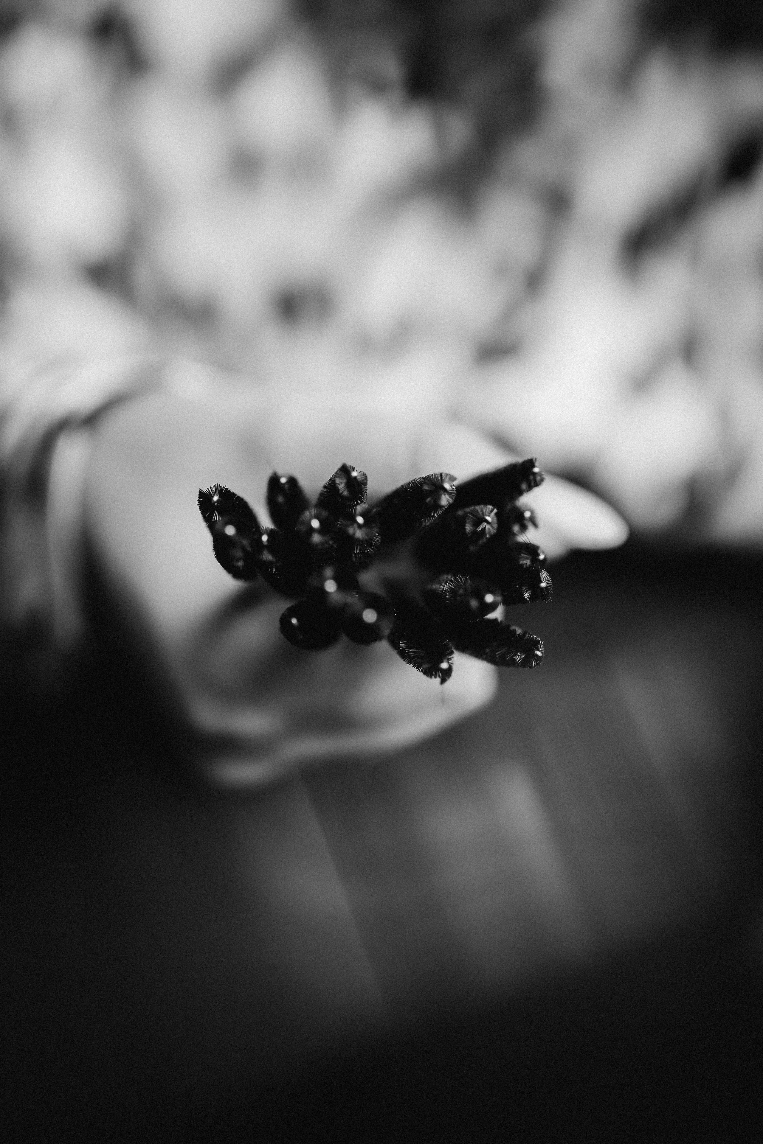 Эля. Лешмейкер. Фотограф НОГИНСК, Москва, Анастасия Белая