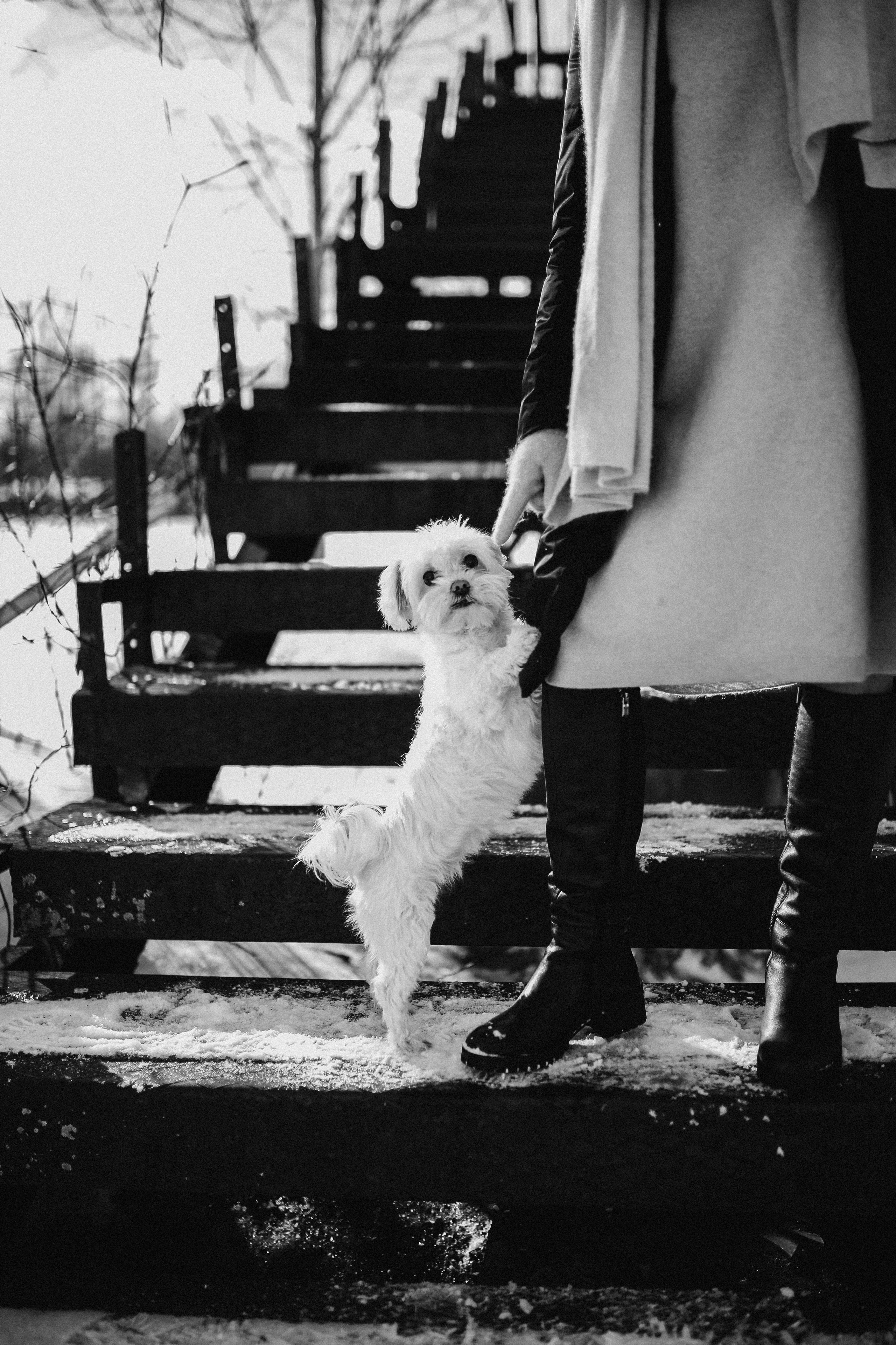 Катюша & Милашка. Фотограф НОГИНСК, Москва, Анастасия Белая