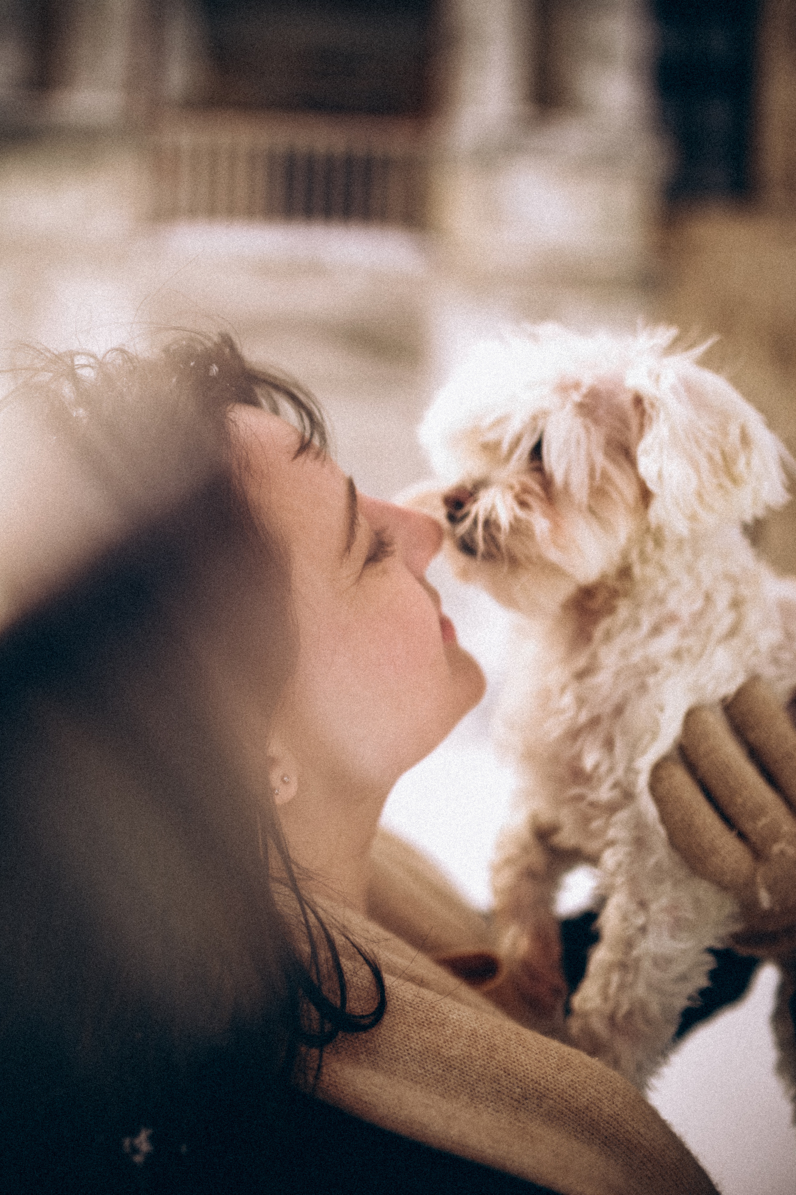 Катюша & Милашка. Фотограф НОГИНСК, Москва, Анастасия Белая