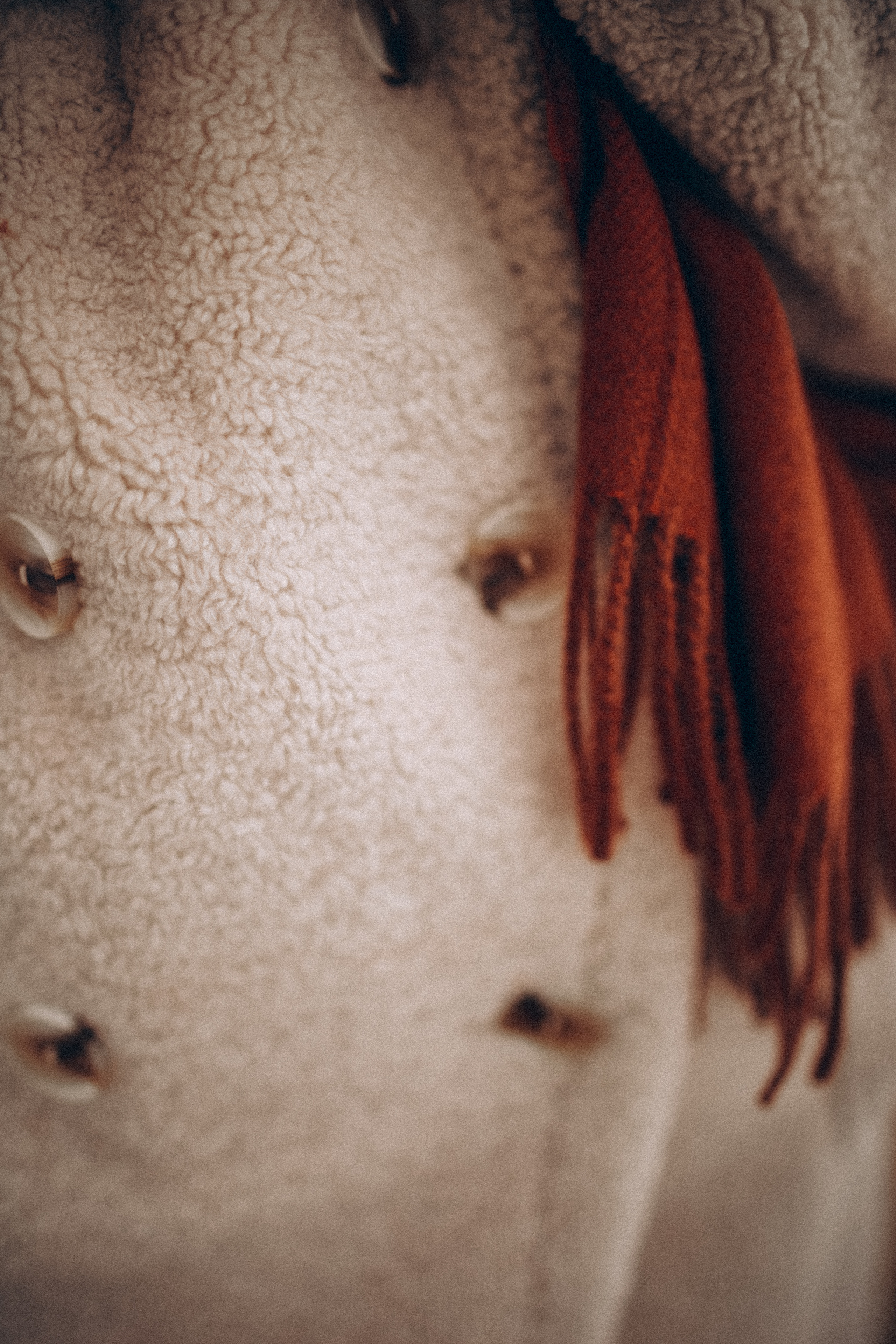 Мария. Фотограф НОГИНСК, Москва, Анастасия Белая