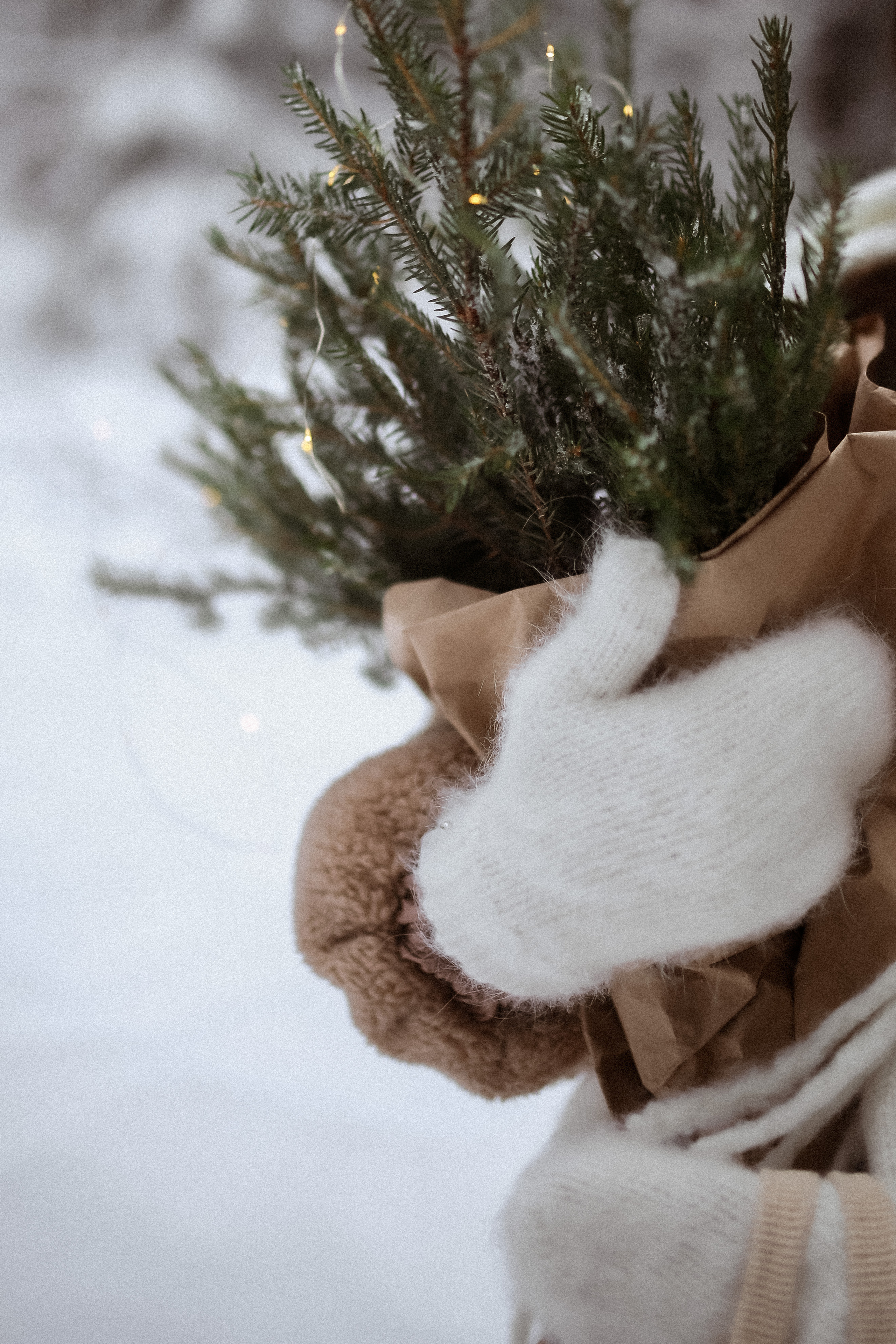 Полина. Съёмка в зимнем лесу. Фотограф НОГИНСК, Москва, Анастасия Белая