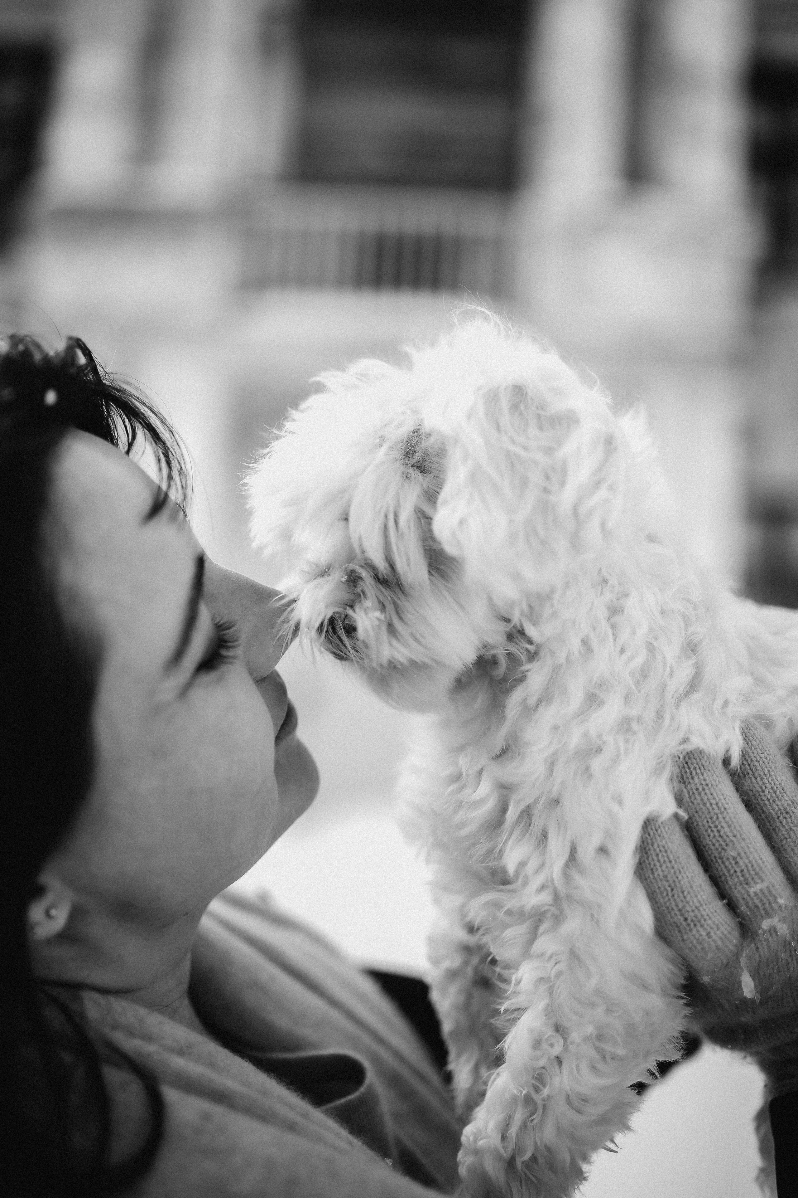 Катюша & Милашка. Фотограф НОГИНСК, Москва, Анастасия Белая