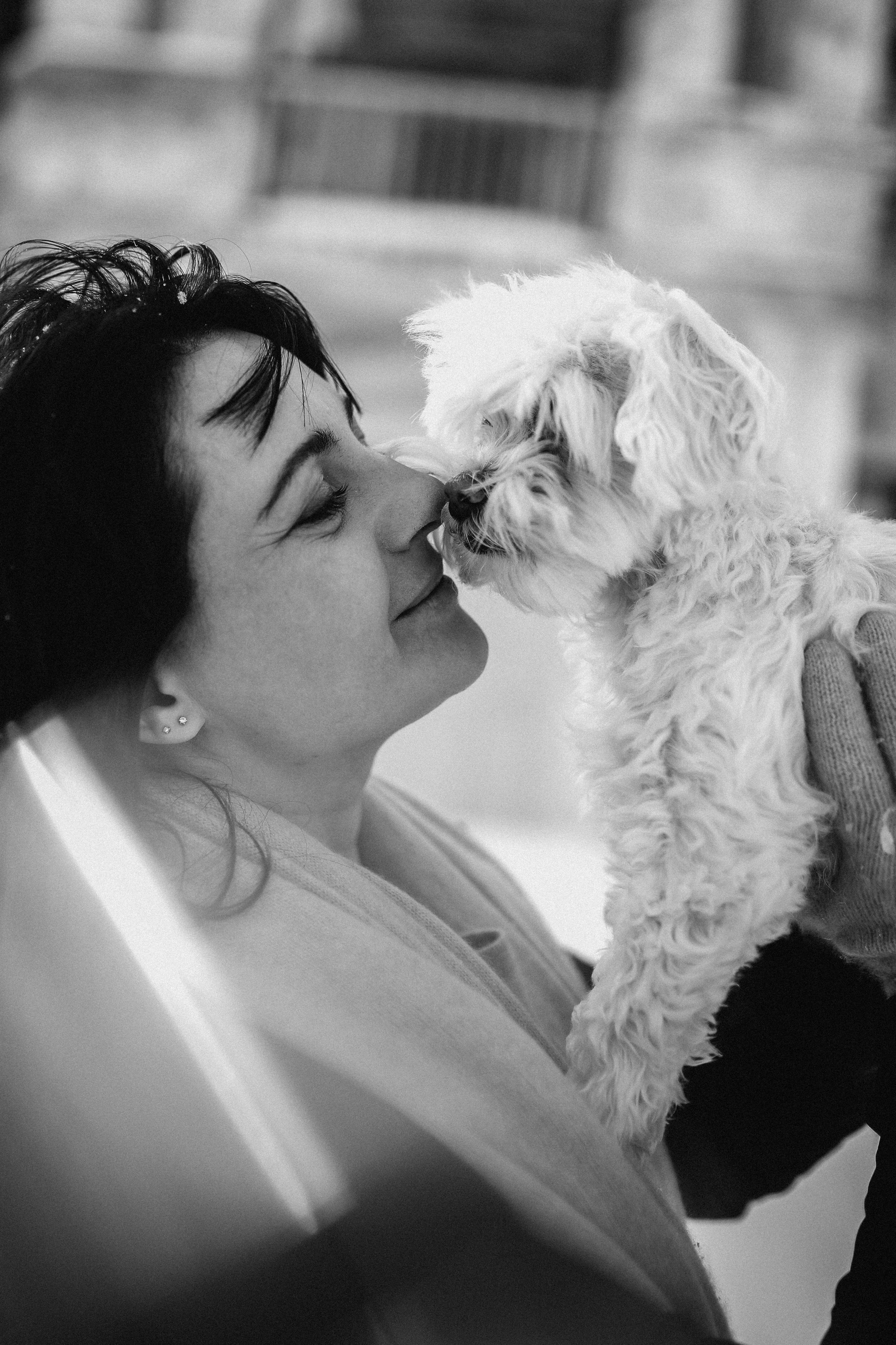 Катюша & Милашка. Фотограф НОГИНСК, Москва, Анастасия Белая