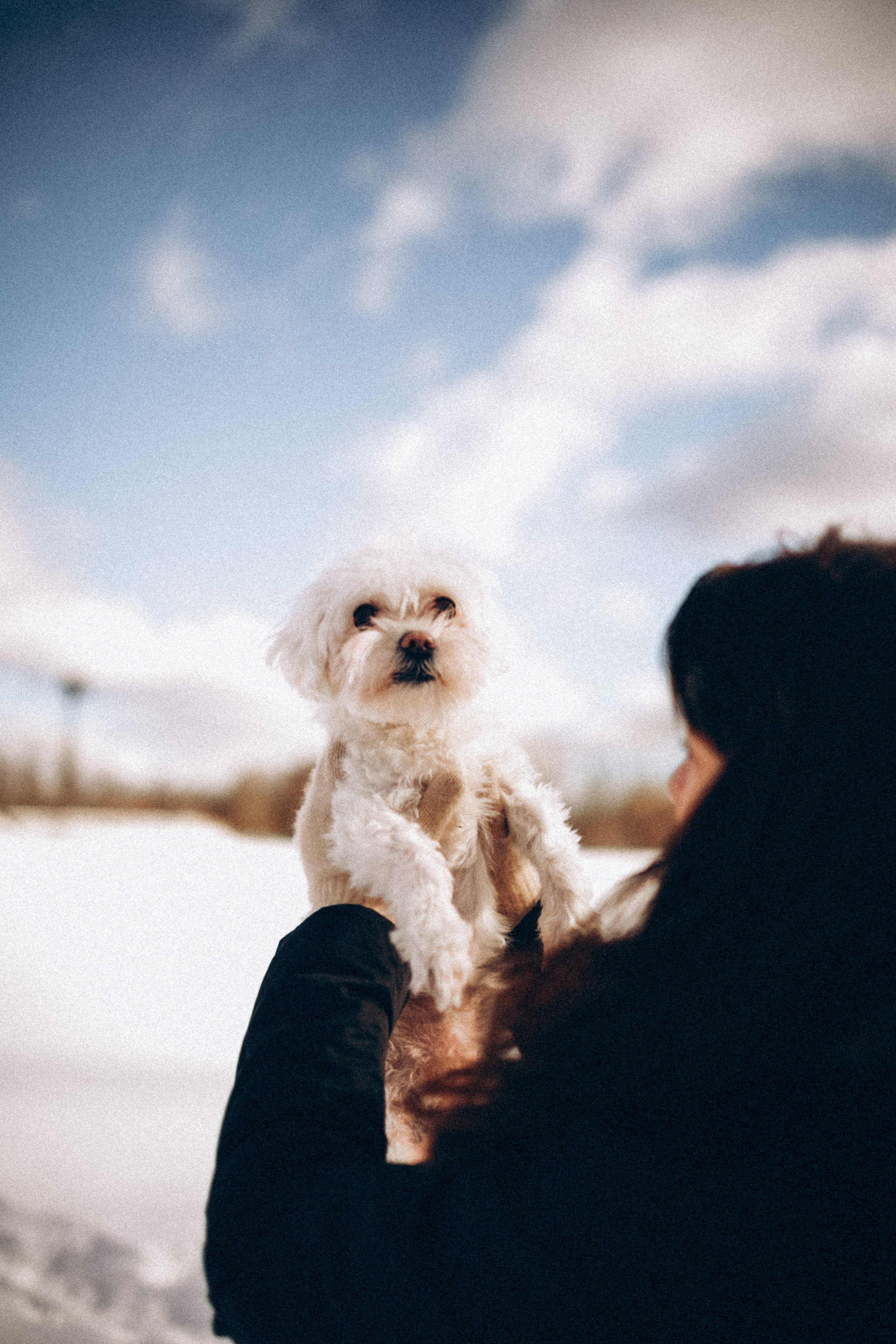 Катюша & Милашка. Фотограф НОГИНСК, Москва, Анастасия Белая