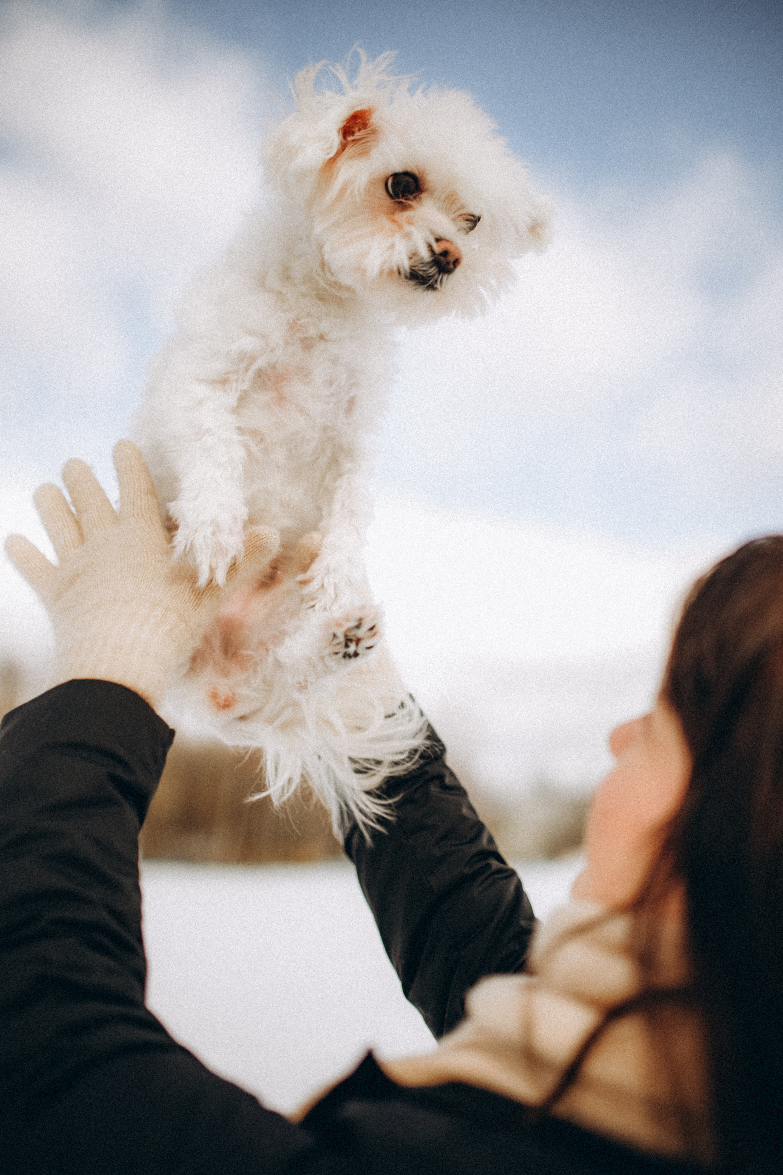 Катюша & Милашка. Фотограф НОГИНСК, Москва, Анастасия Белая