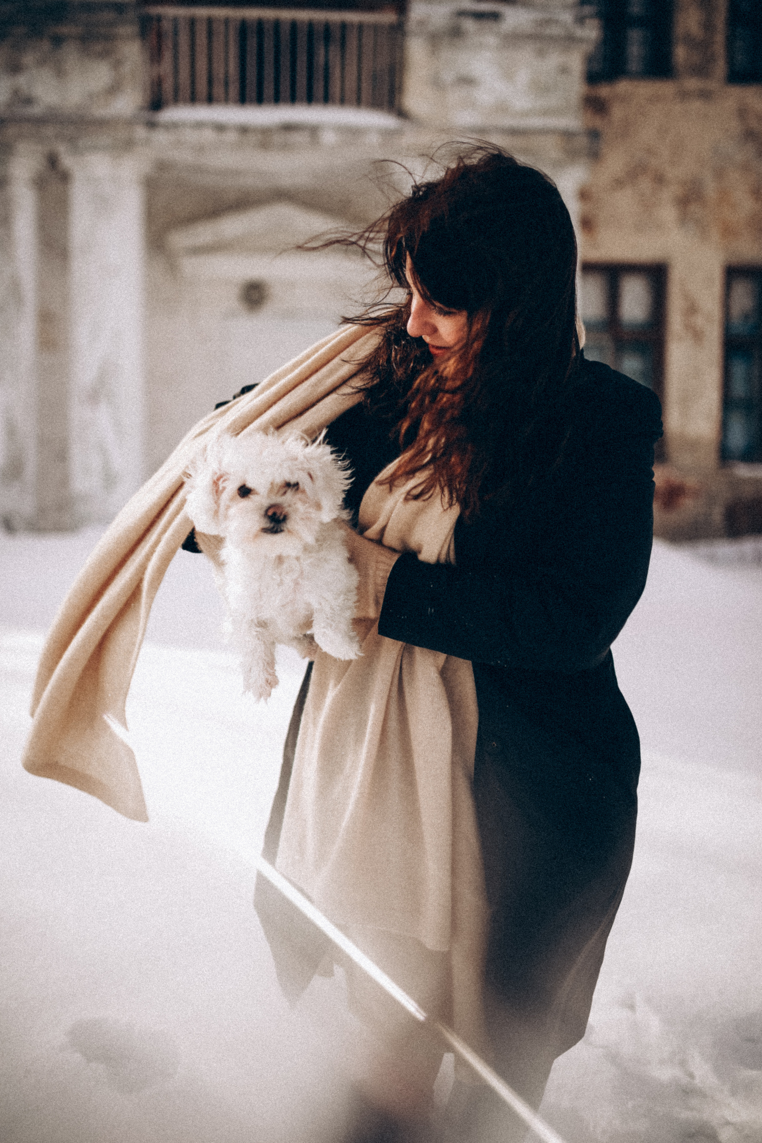 Катюша & Милашка. Фотограф НОГИНСК, Москва, Анастасия Белая