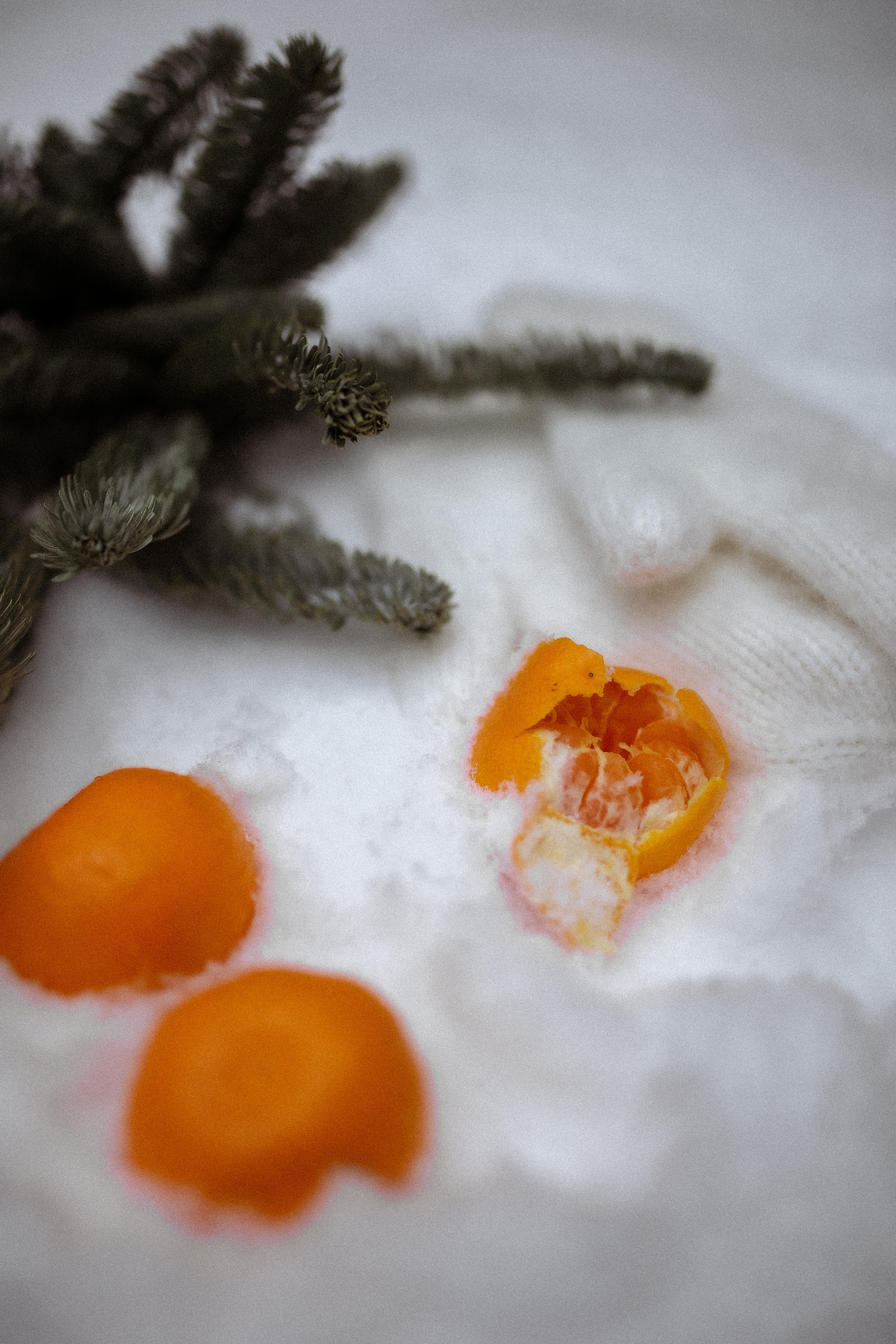 Полина. Съёмка в зимнем лесу. Фотограф НОГИНСК, Москва, Анастасия Белая