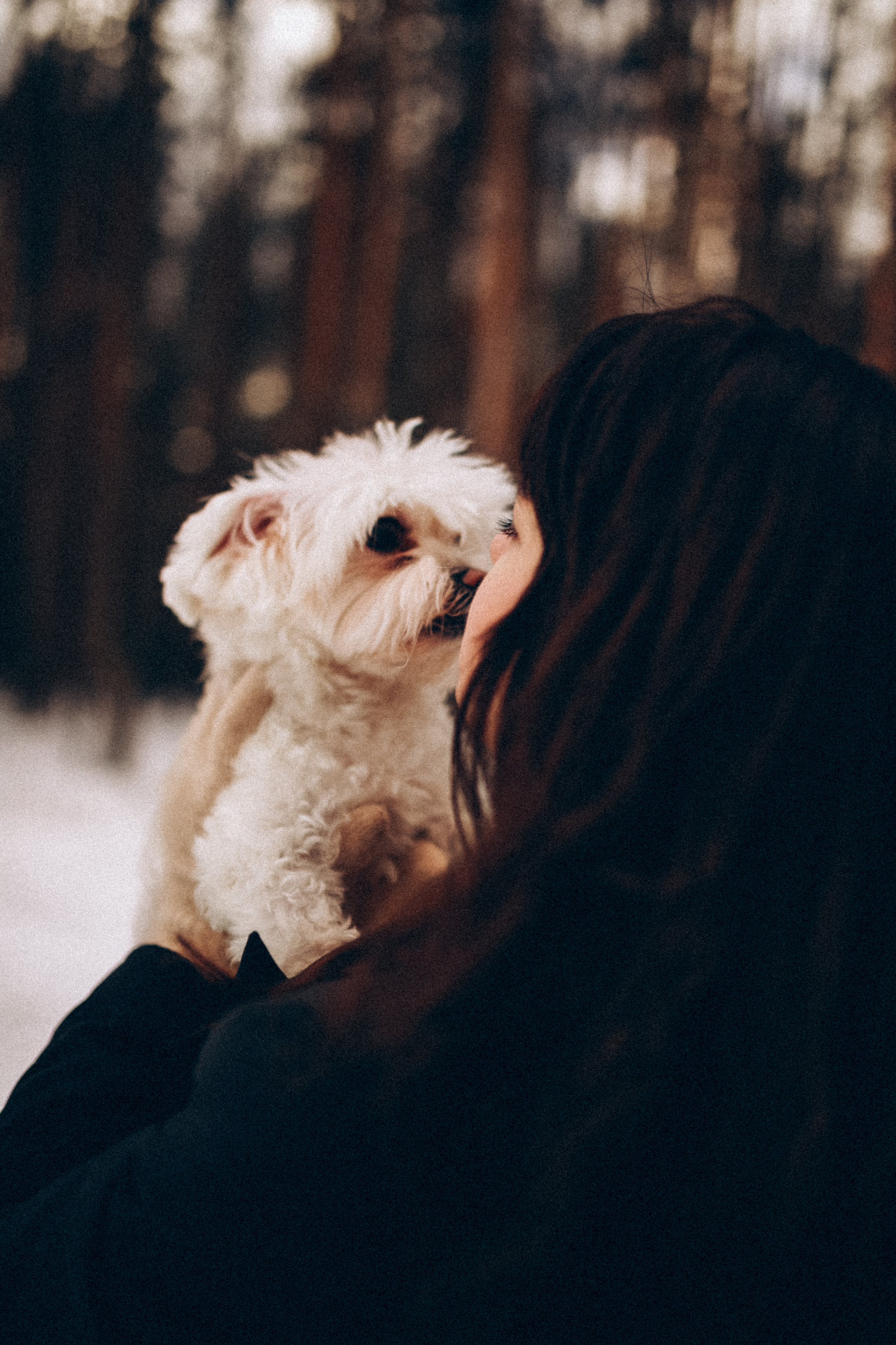 Катюша & Милашка. Фотограф НОГИНСК, Москва, Анастасия Белая