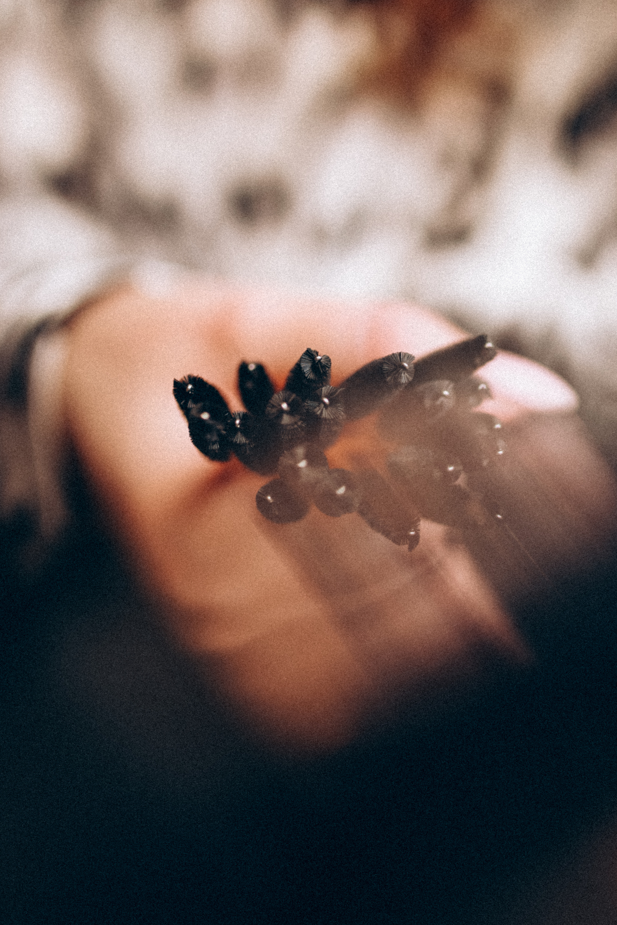 Эля. Лешмейкер. Фотограф НОГИНСК, Москва, Анастасия Белая