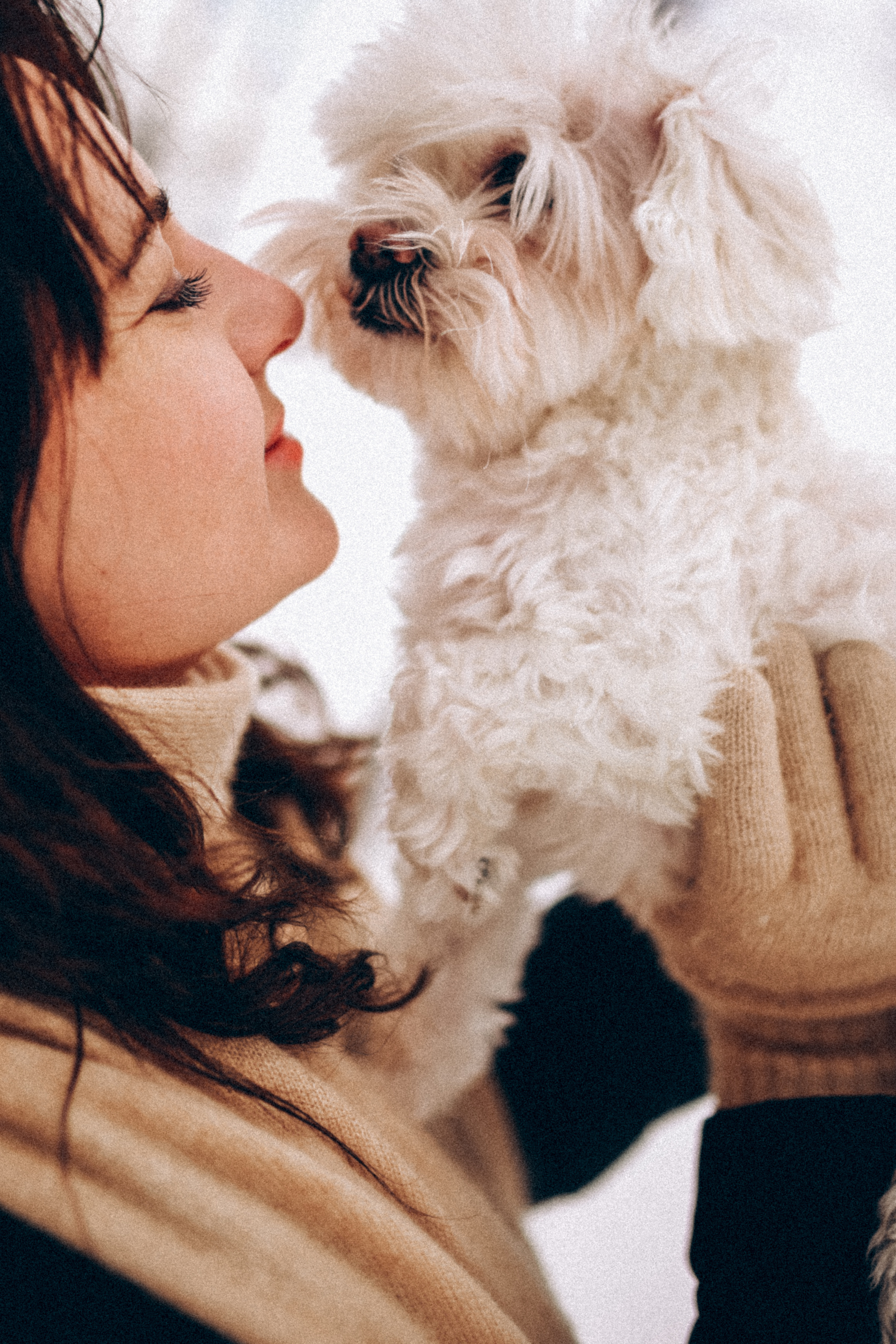 Катюша & Милашка. Фотограф НОГИНСК, Москва, Анастасия Белая
