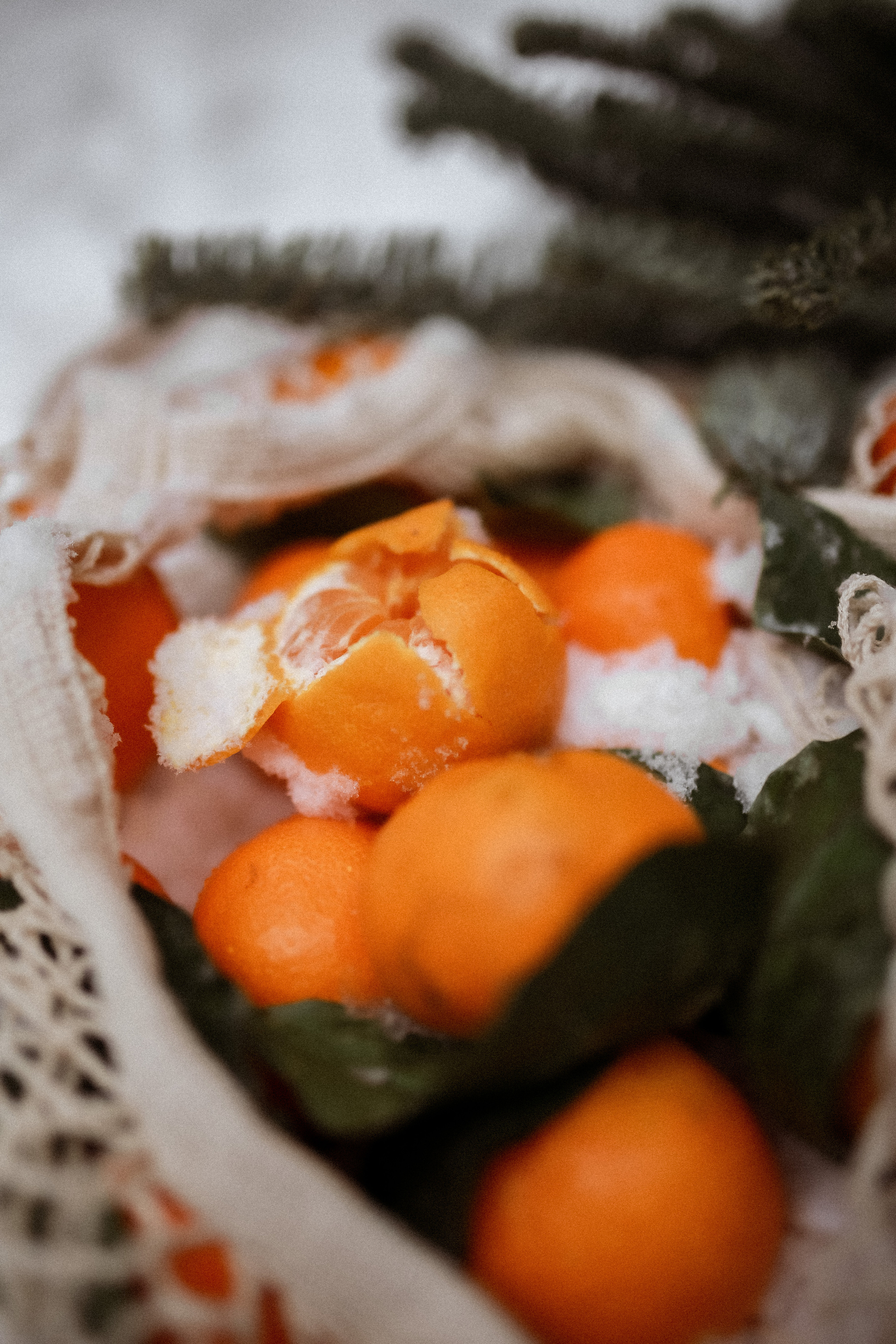 Полина. Съёмка в зимнем лесу. Фотограф НОГИНСК, Москва, Анастасия Белая