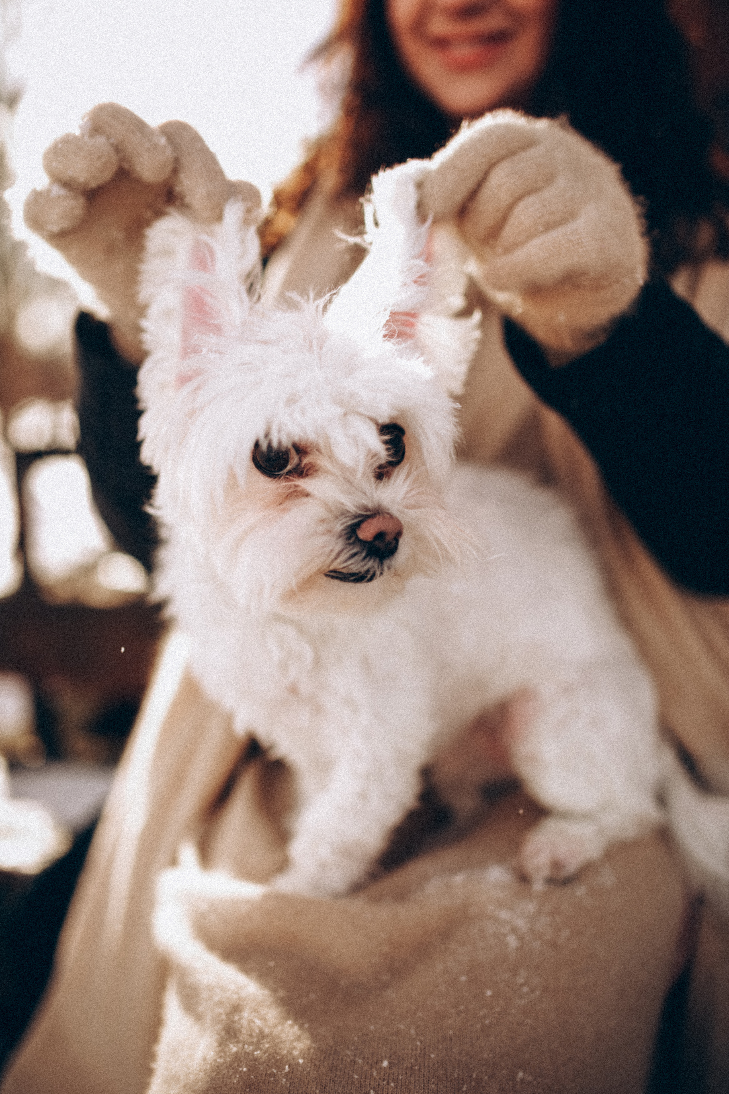 Катюша & Милашка. Фотограф НОГИНСК, Москва, Анастасия Белая