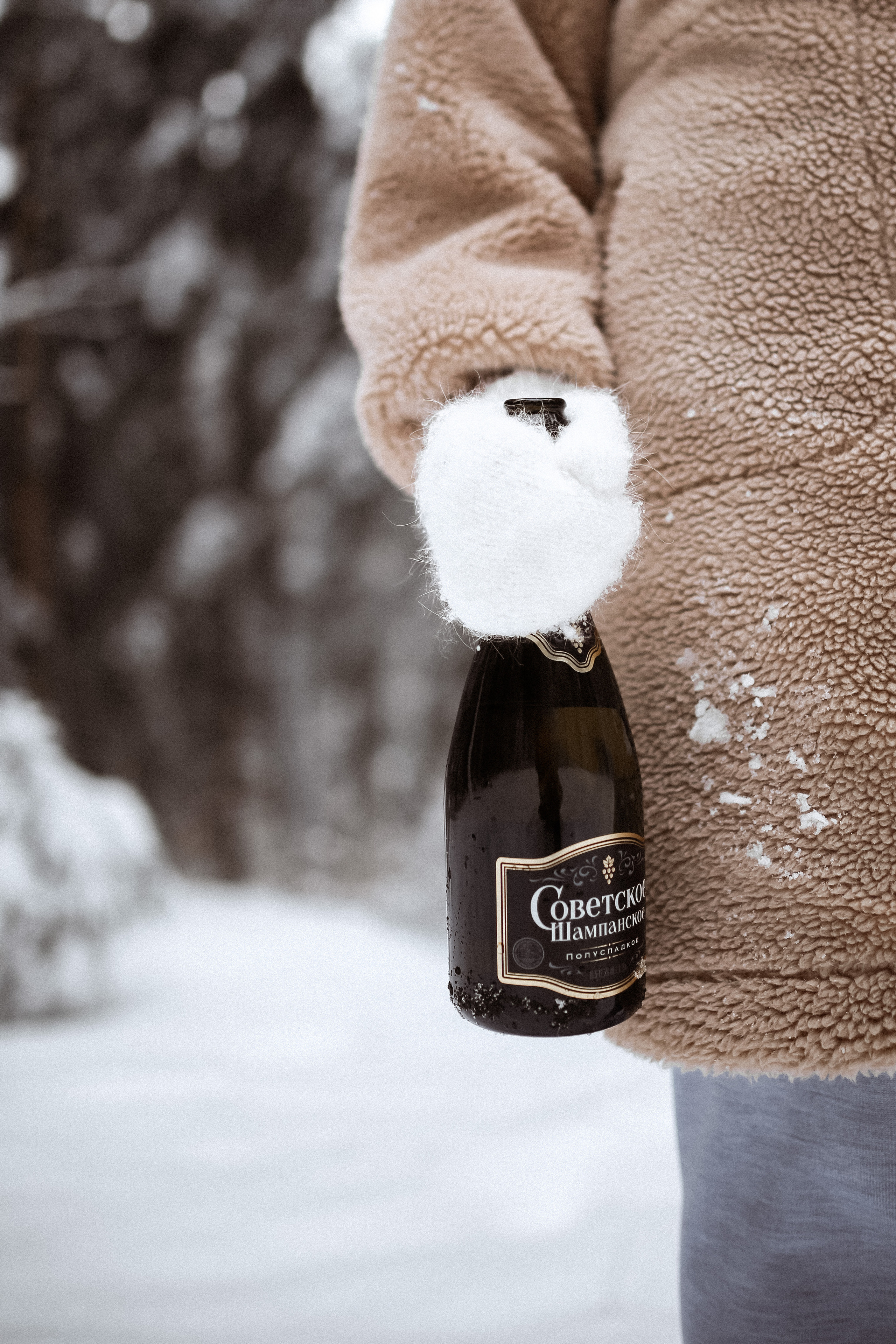 Полина. Съёмка в зимнем лесу. Фотограф НОГИНСК, Москва, Анастасия Белая