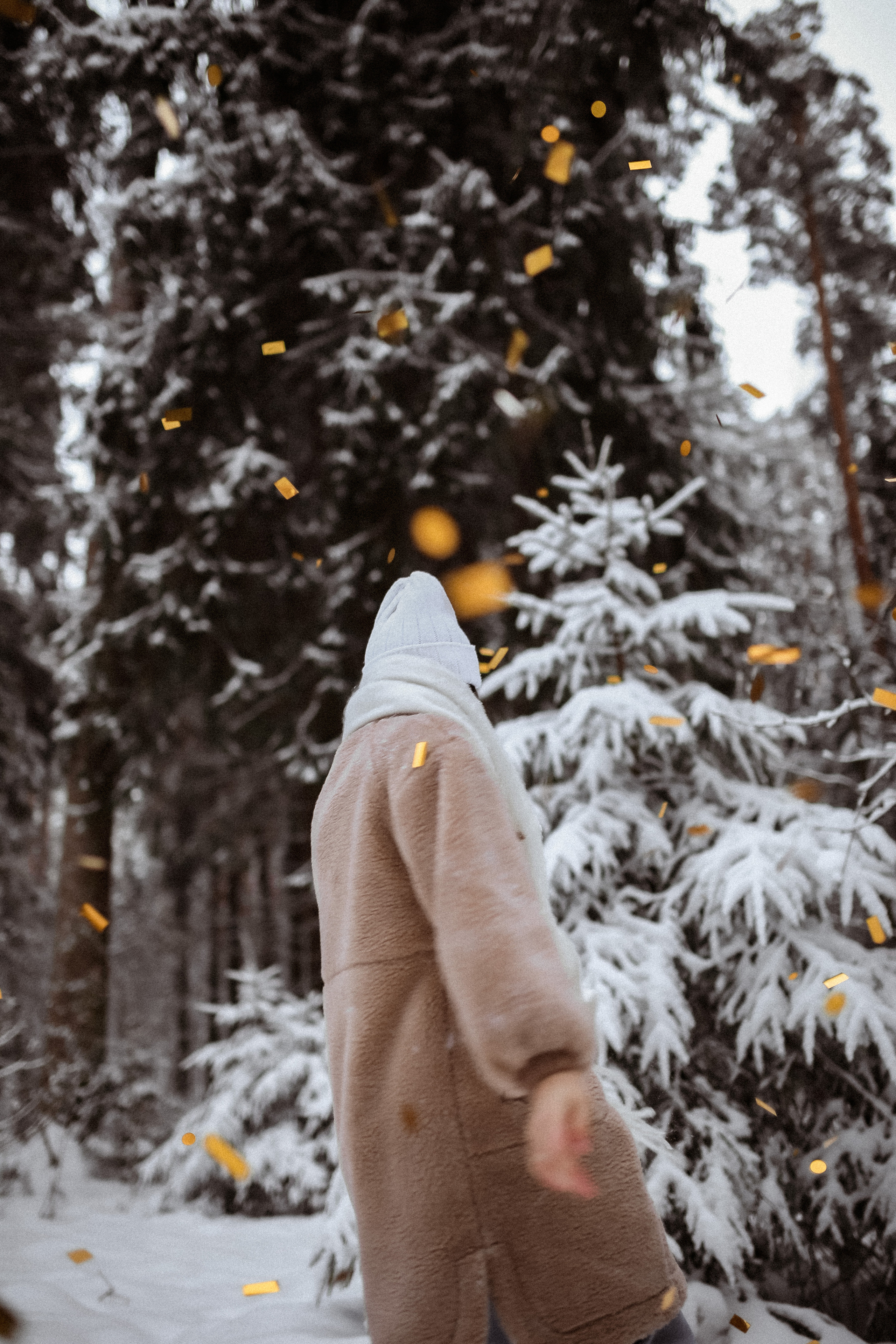 Полина. Съёмка в зимнем лесу. Фотограф НОГИНСК, Москва, Анастасия Белая