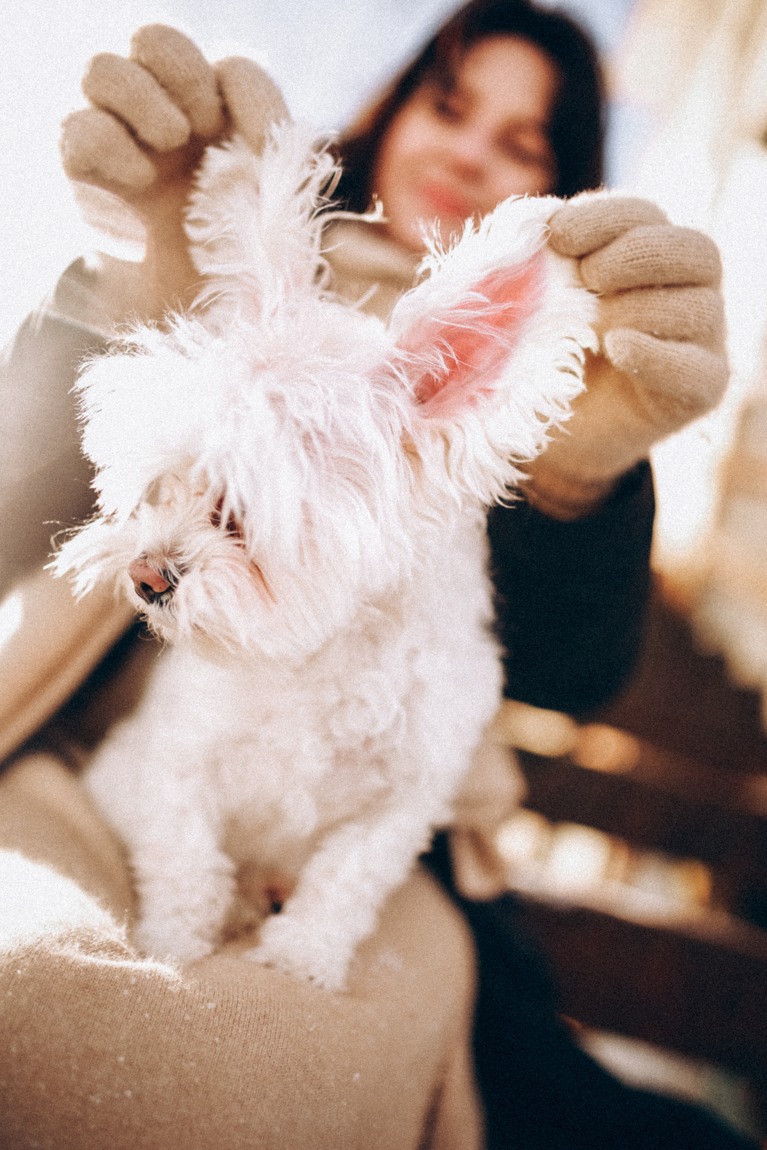 Катюша & Милашка. Фотограф НОГИНСК, Москва, Анастасия Белая