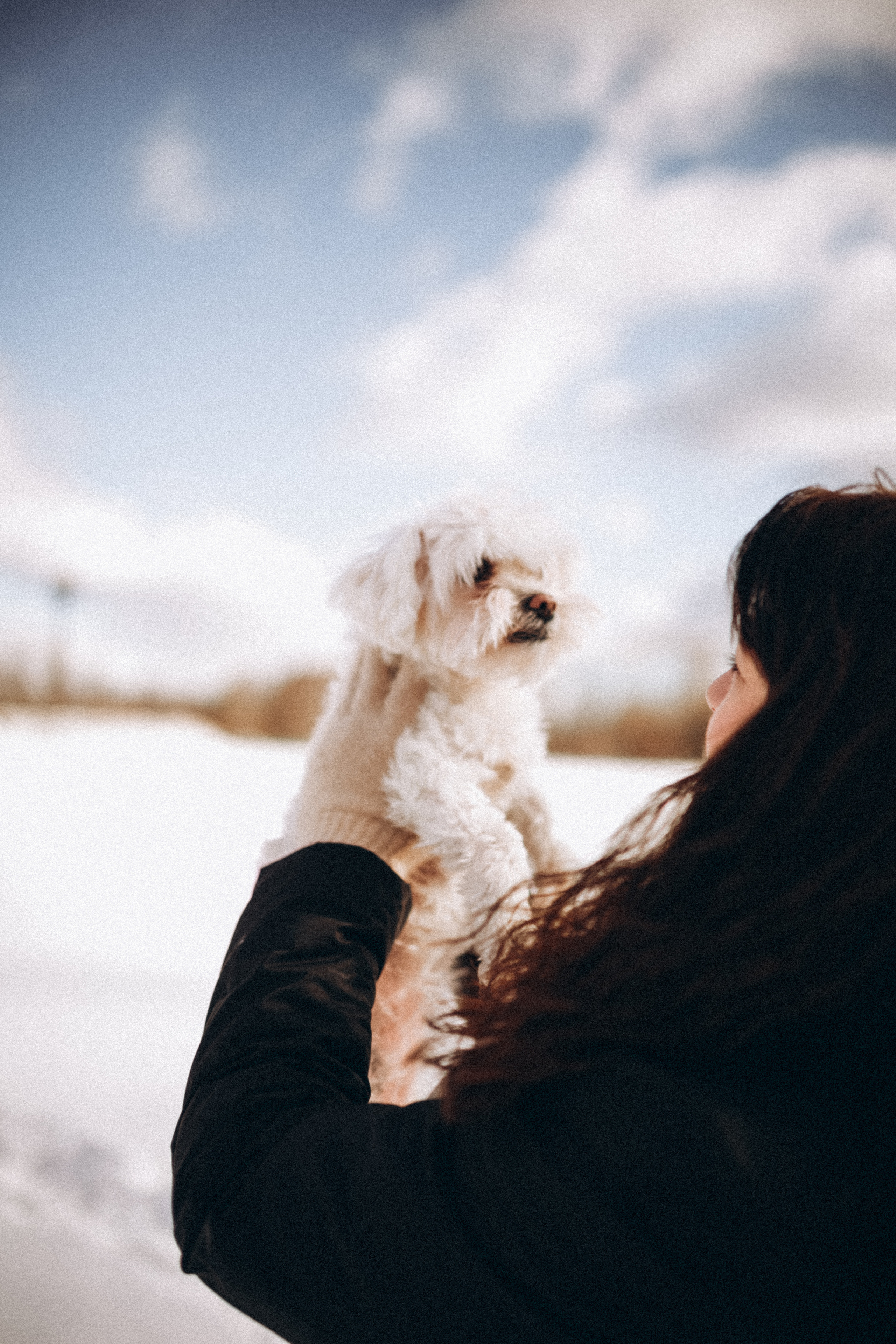 Катюша & Милашка. Фотограф НОГИНСК, Москва, Анастасия Белая