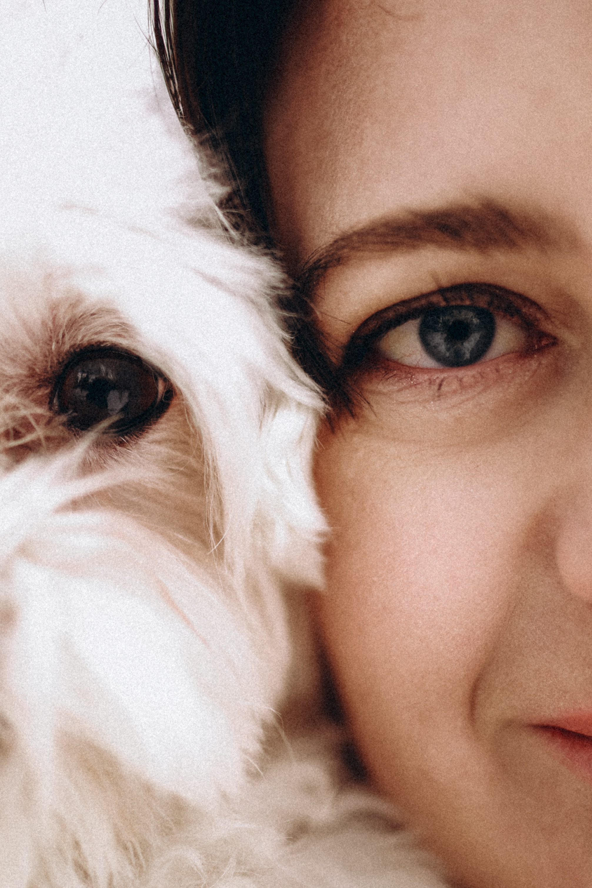 Катюша & Милашка. Фотограф НОГИНСК, Москва, Анастасия Белая