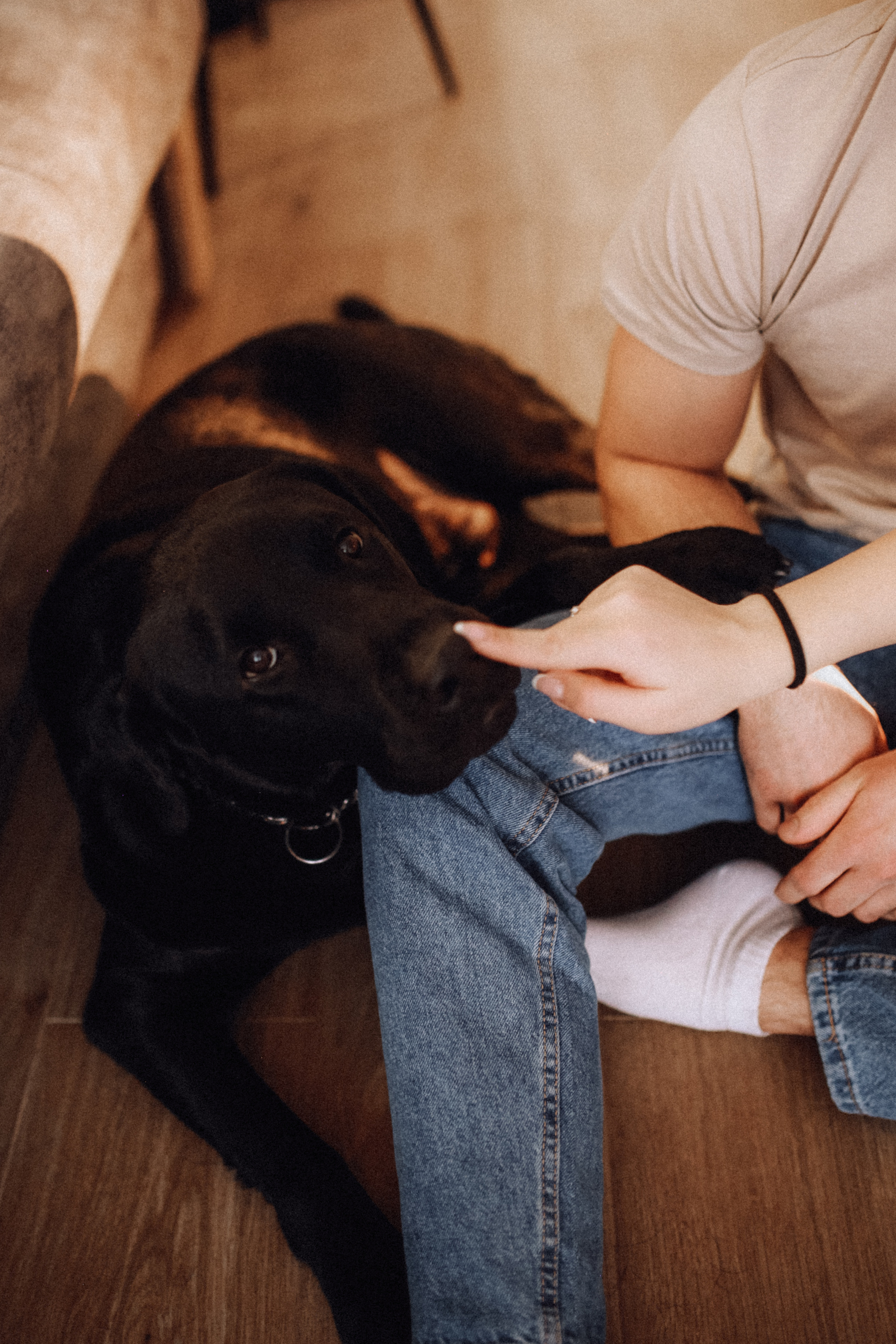 Артём, Полина, Сергей. Фотограф НОГИНСК, Москва, Анастасия Белая