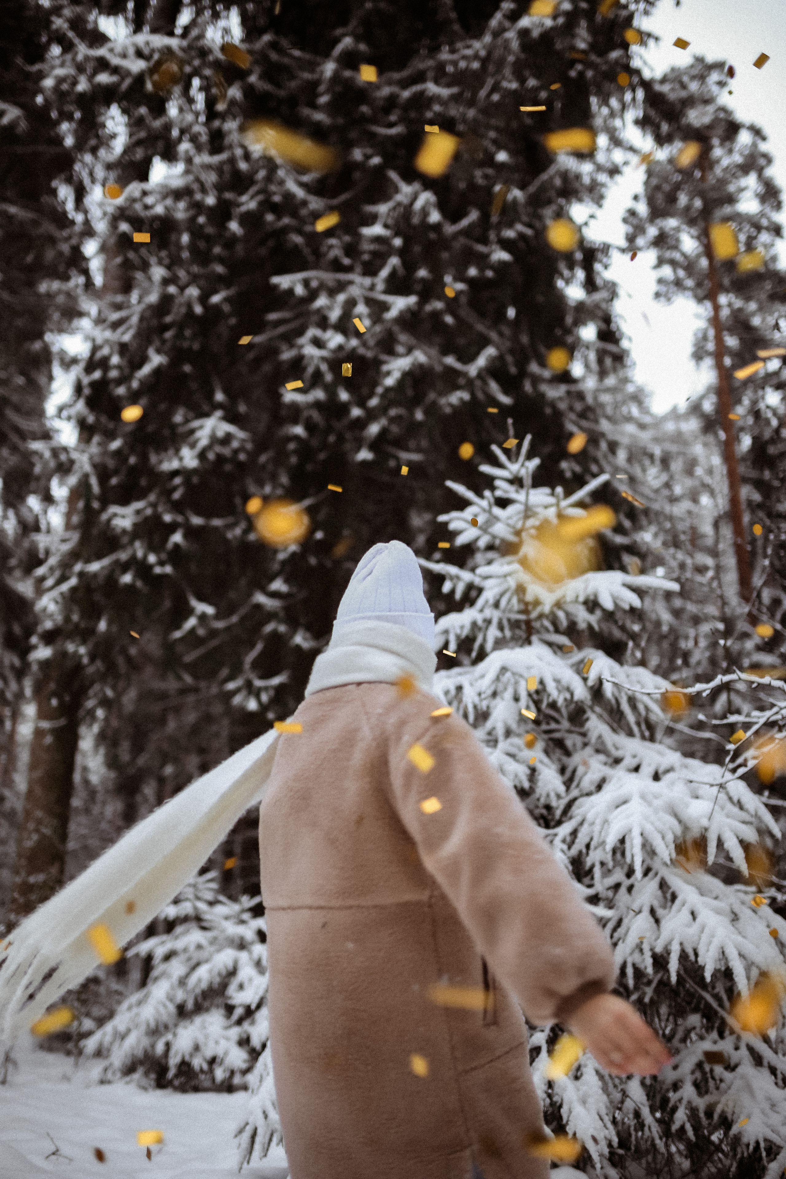 Полина. Съёмка в зимнем лесу. Фотограф НОГИНСК, Москва, Анастасия Белая
