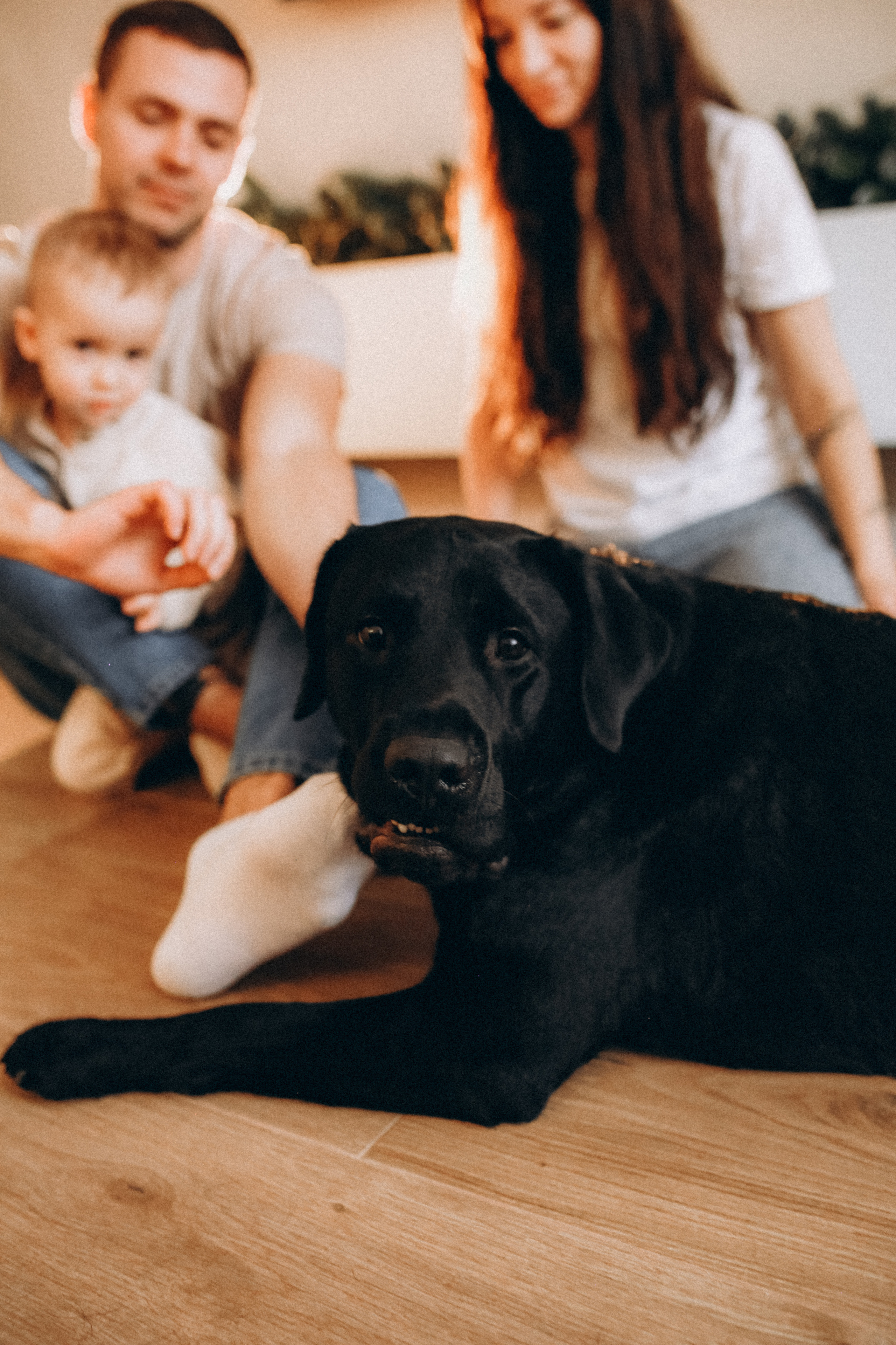 Артём, Полина, Сергей. Фотограф НОГИНСК, Москва, Анастасия Белая