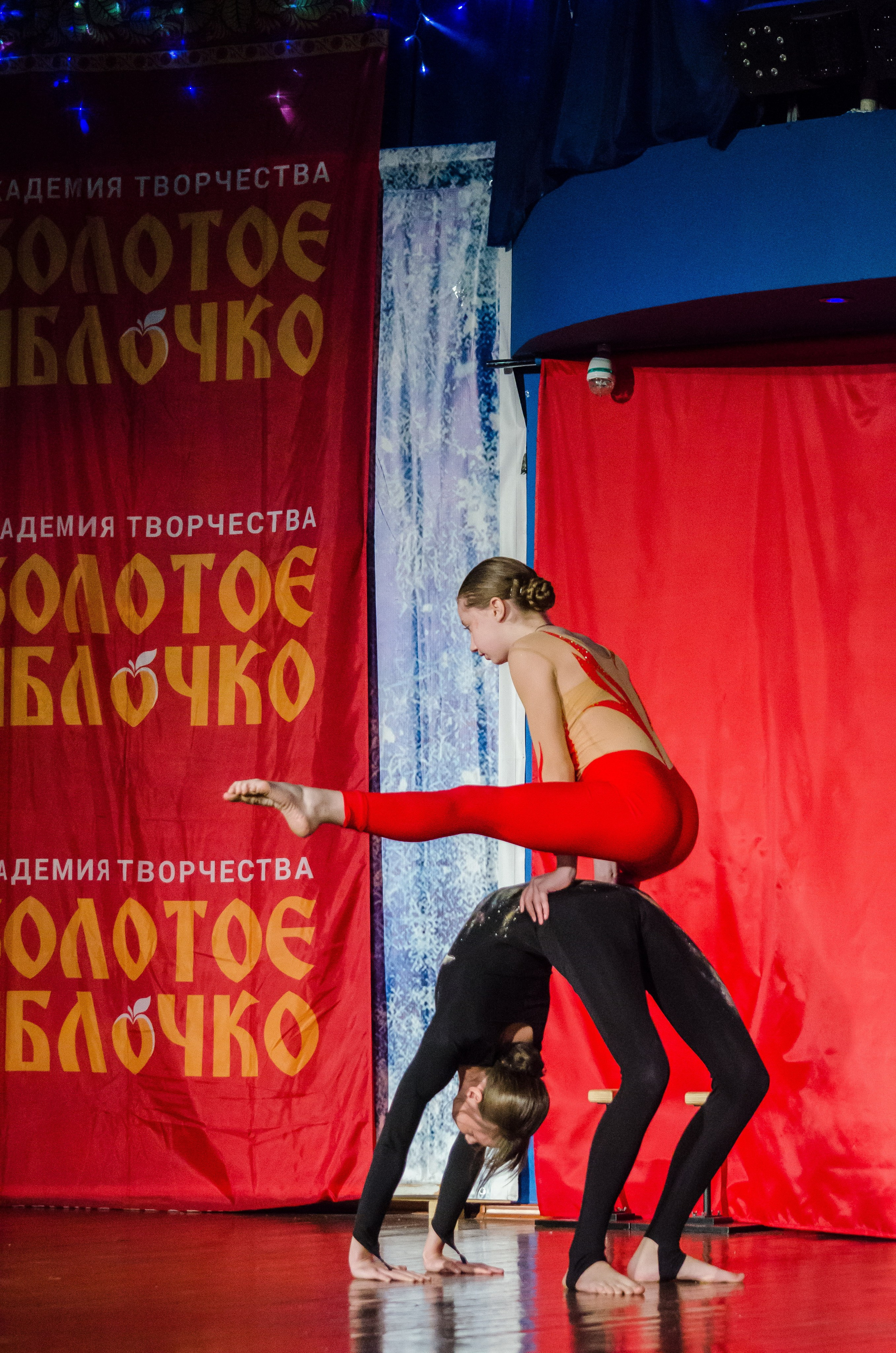 14 декабря, г. Омск. Золотое яблочко