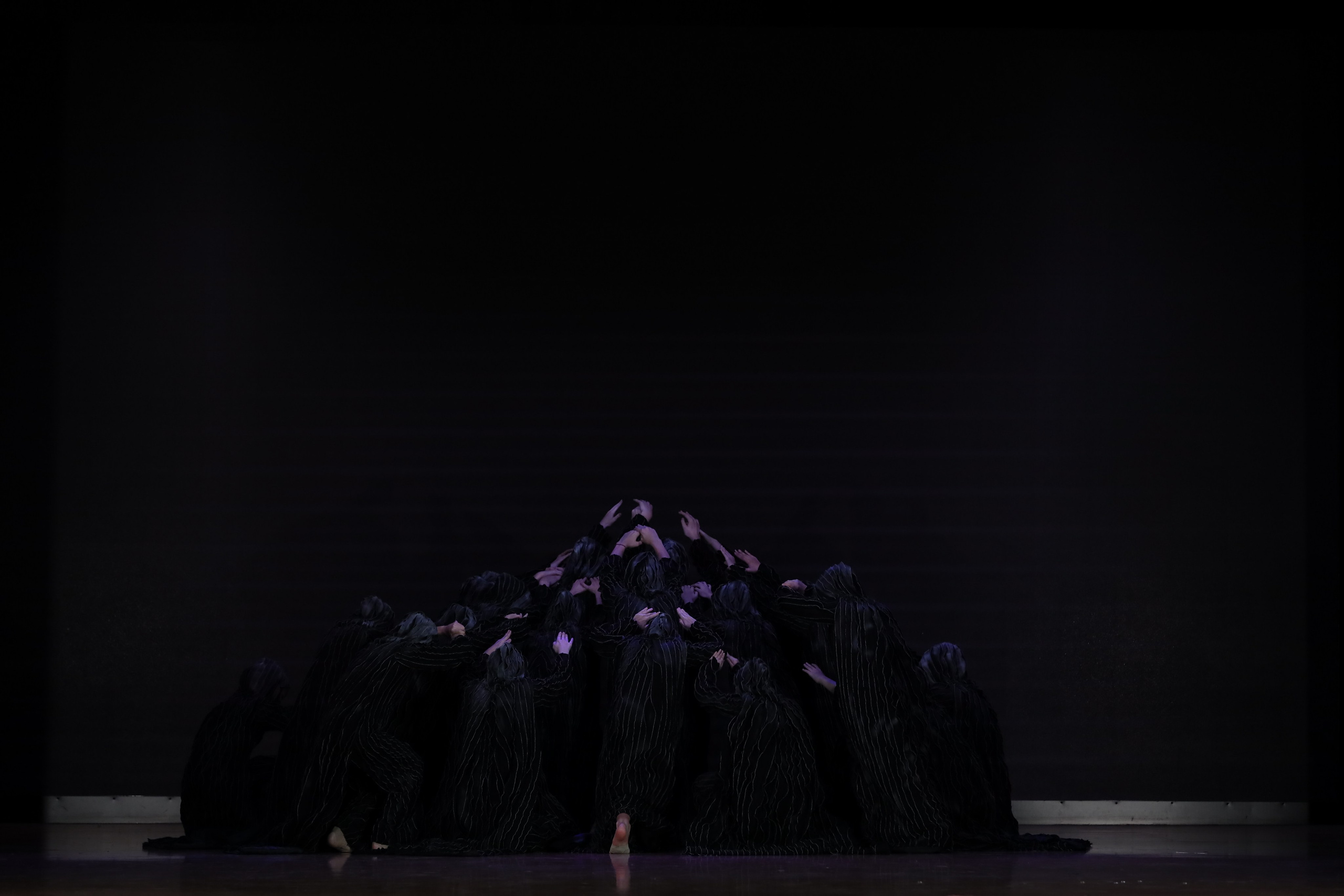 4 ноября, блок 1, видео, номера 49-58, г. Краснодар. Золотое яблочко