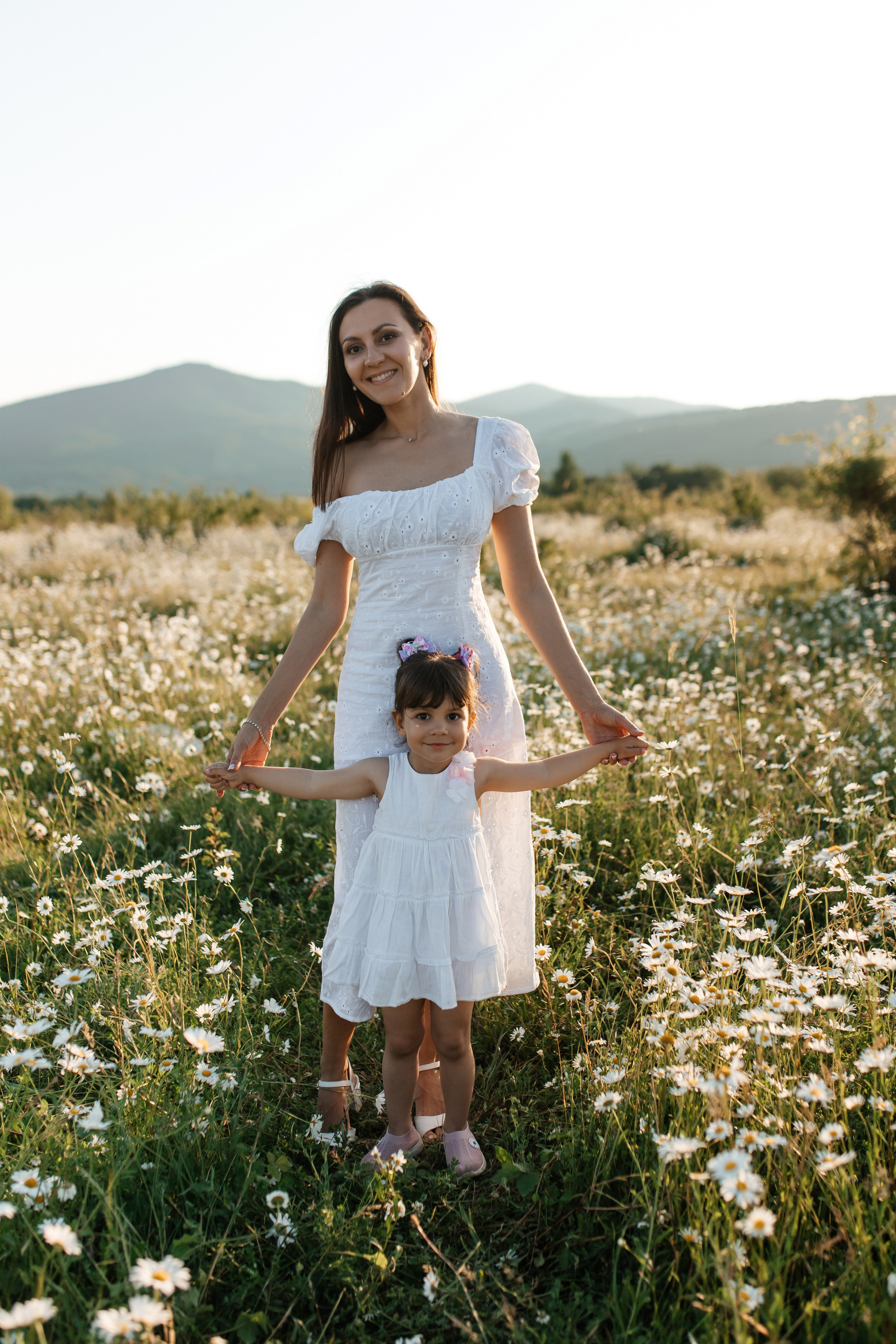 Daisies. ФОТОГРАФ
