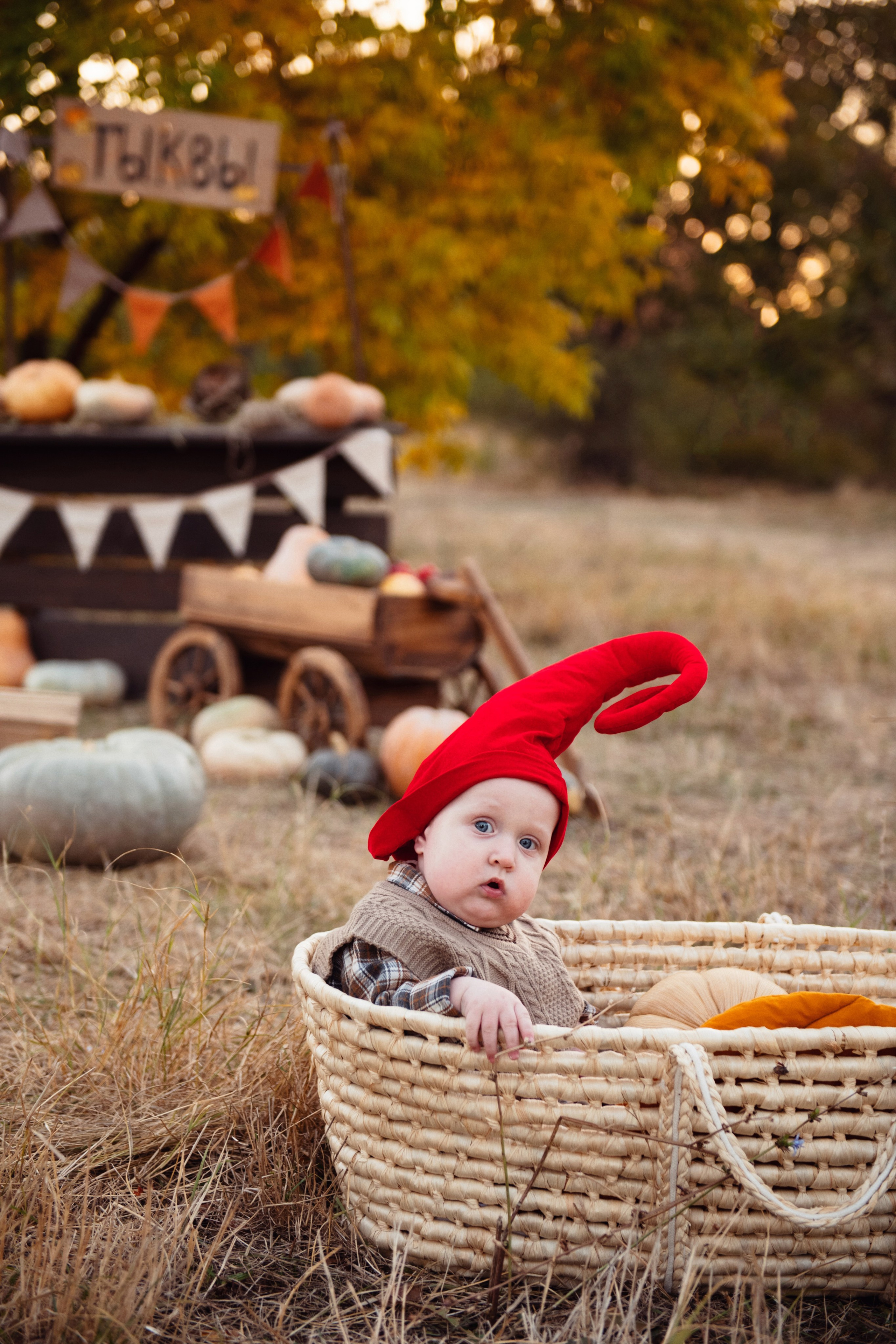Тыковки. Детский и семейный фотограф в Армавире Даша Зубкова
