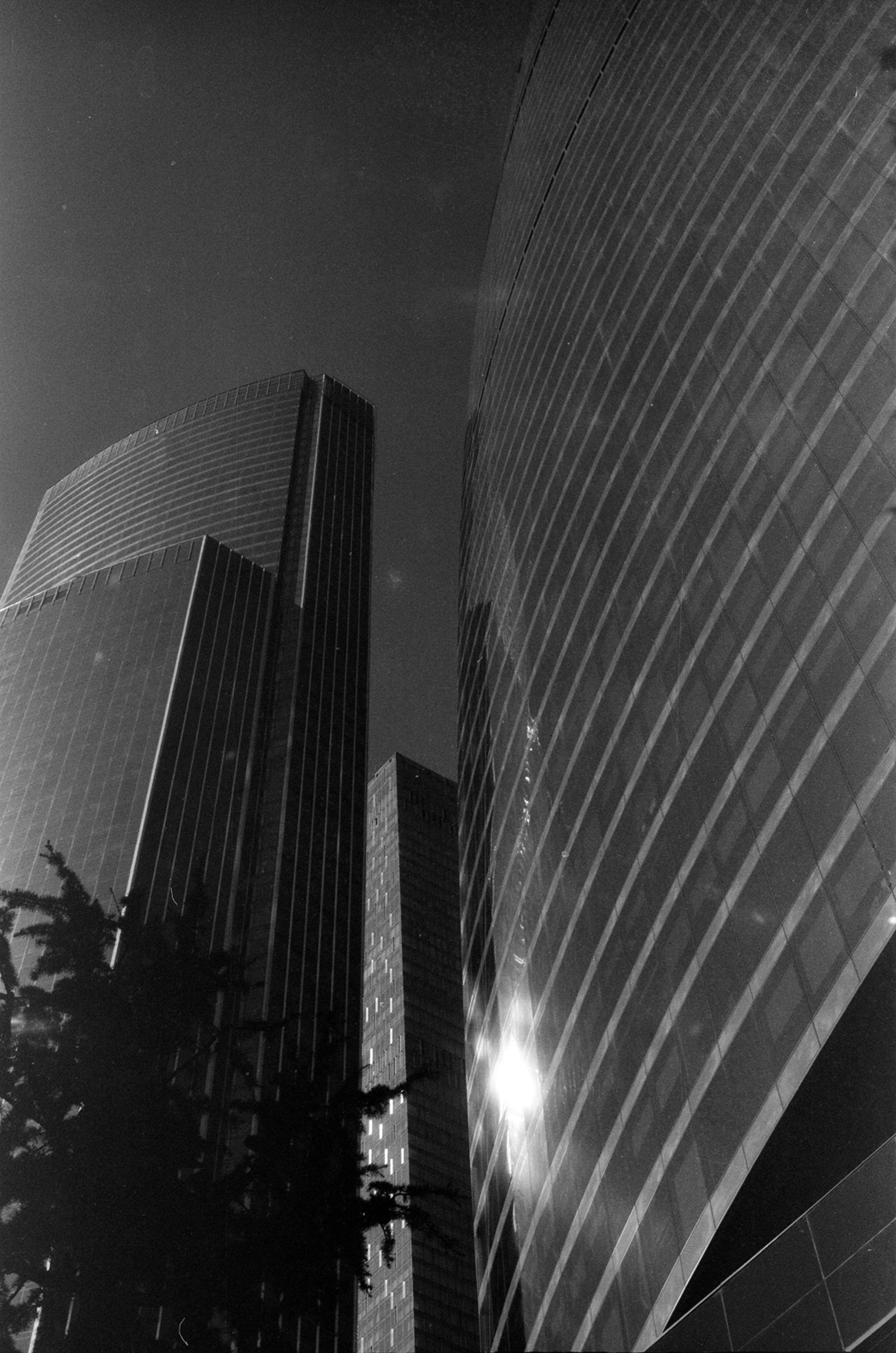 Альбом пленочных ЧБ-фото. Репортажный и семейный фотограф — Шелихов Сергей