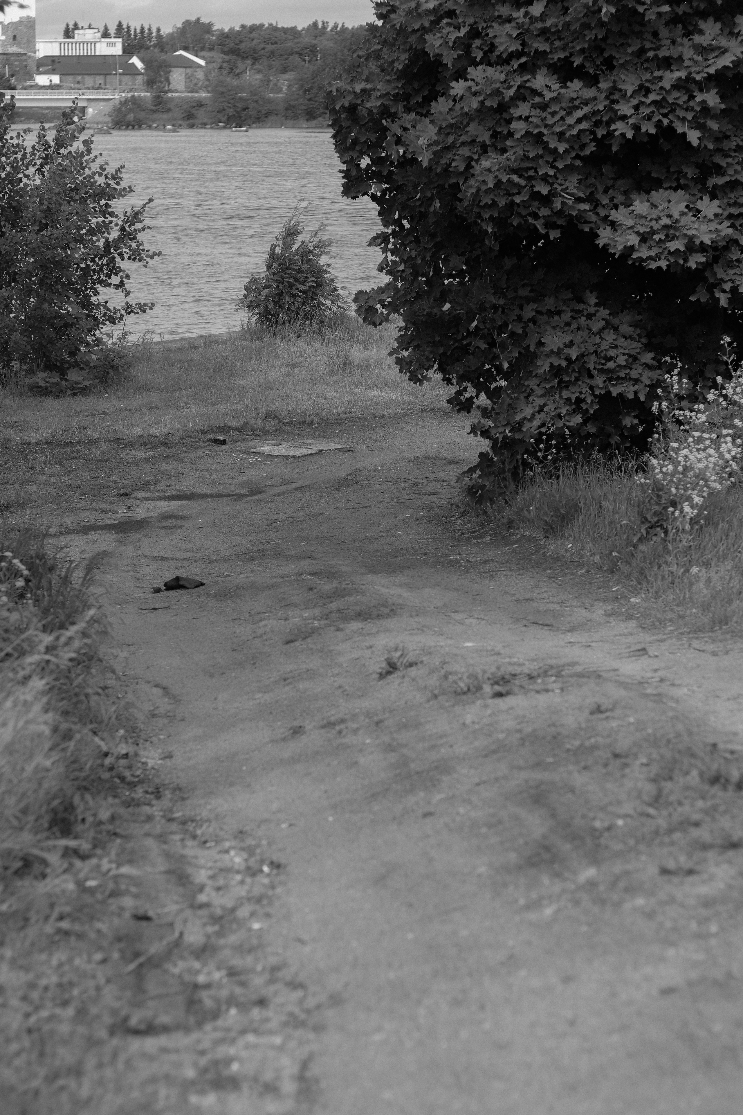 Contour. Фотограф и исследователь фотографии из Санкт-Петербурга Елизавета Веприцкая