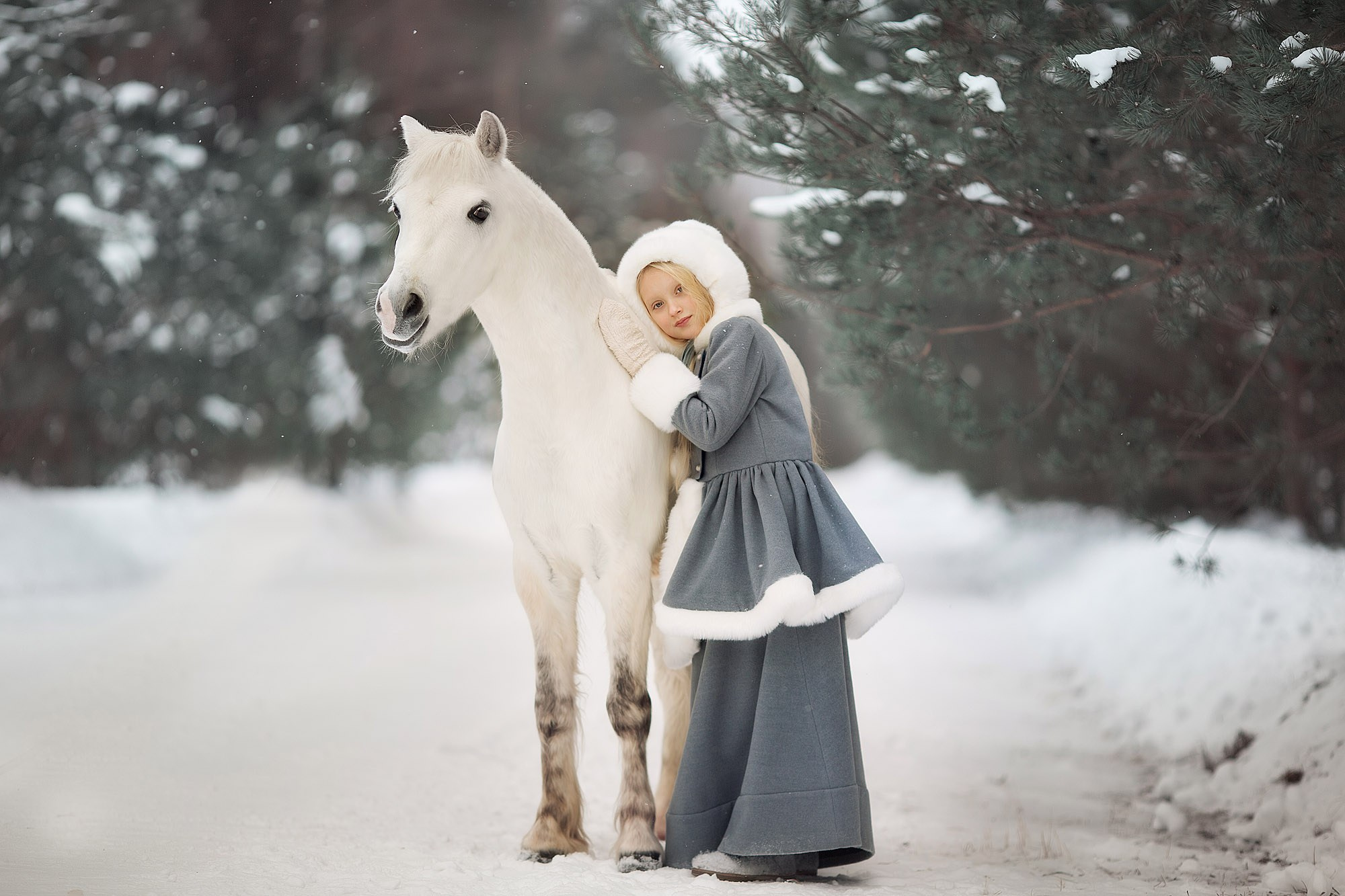 Фототур в сказочный зимний Суздаль. Tatyana Nadezhdina Family photographer