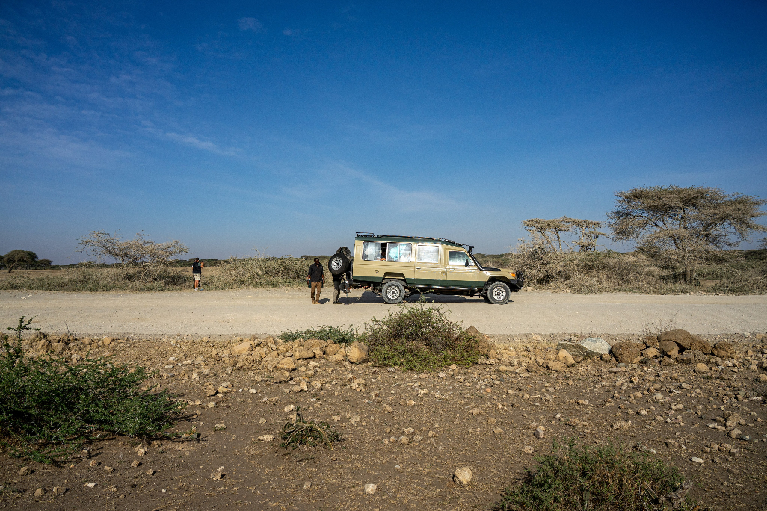 Танзания, сафари, 2025. Творческие сьемки