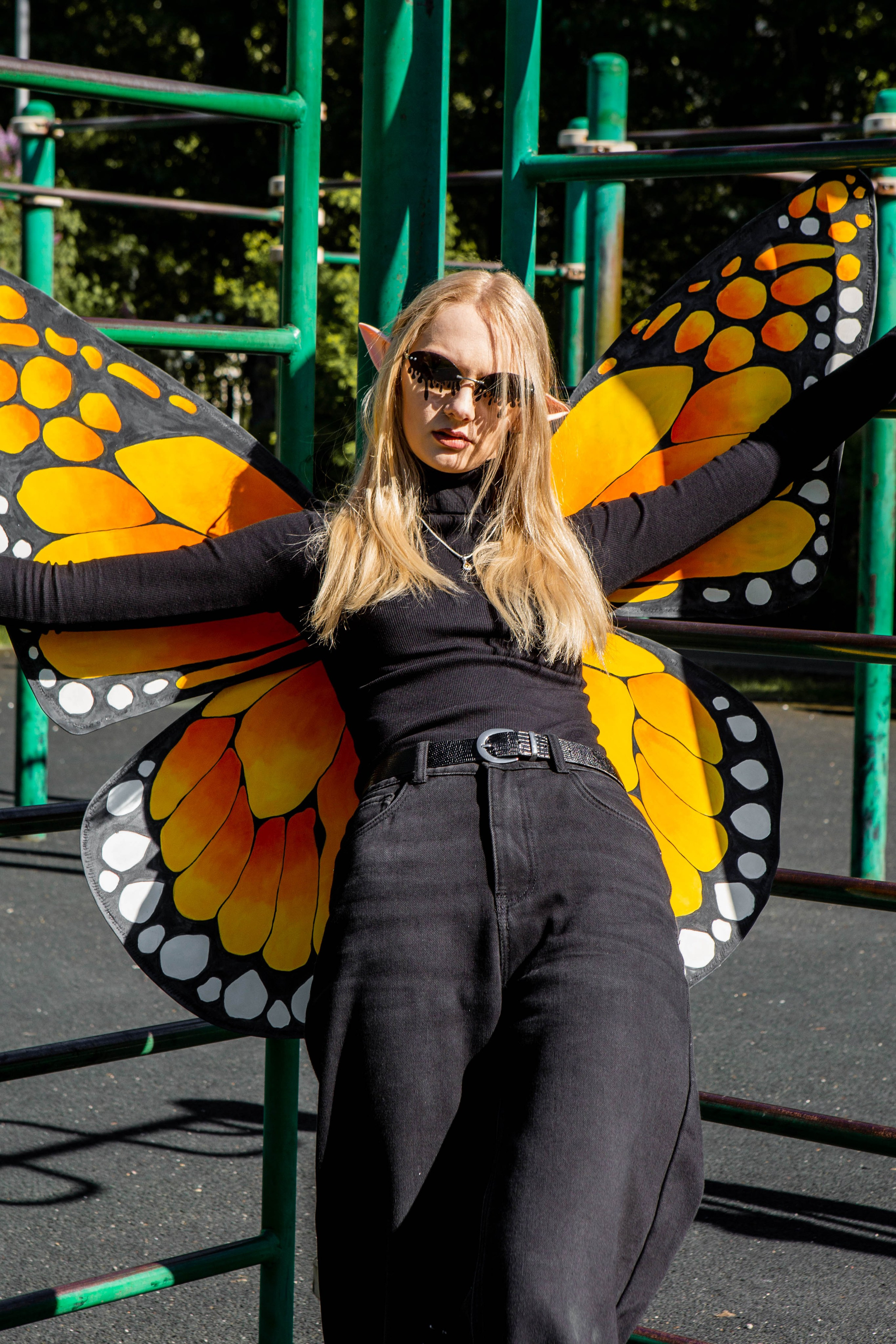 Бабочка. Фотограф Екатерина Голицына