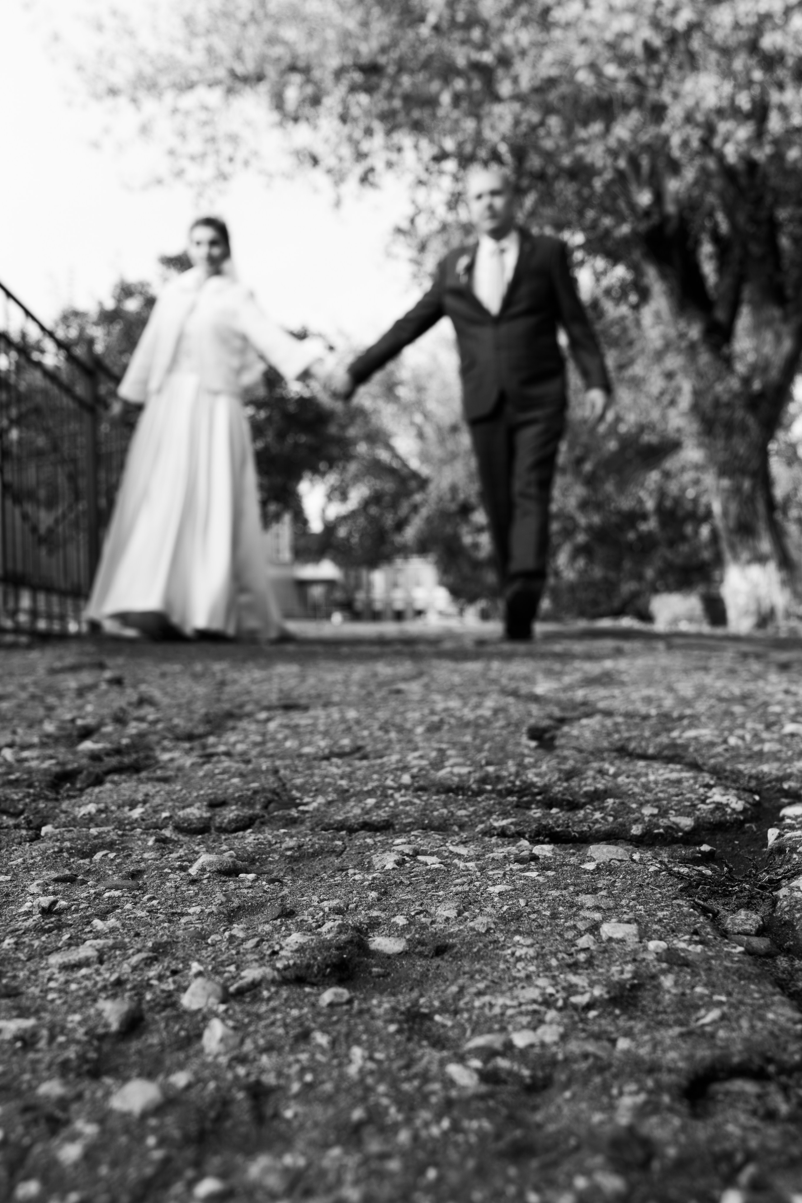 Свадьбы. Фотограф-видеограф в Санкт-Петербурге Владимир Нестеров