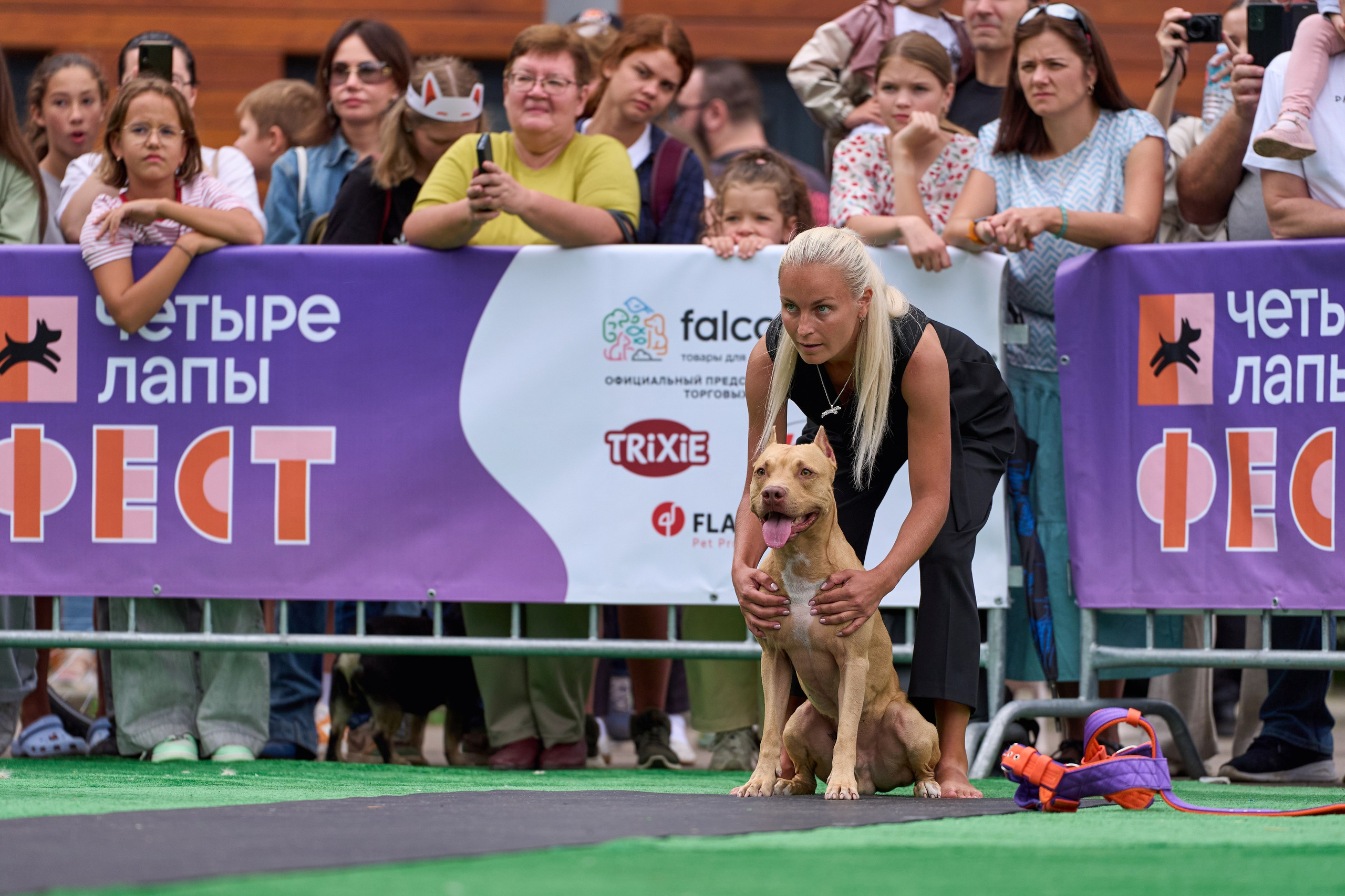 4 лапы Фест. Многоборье. Фотограф-анималист Михаил Манухин