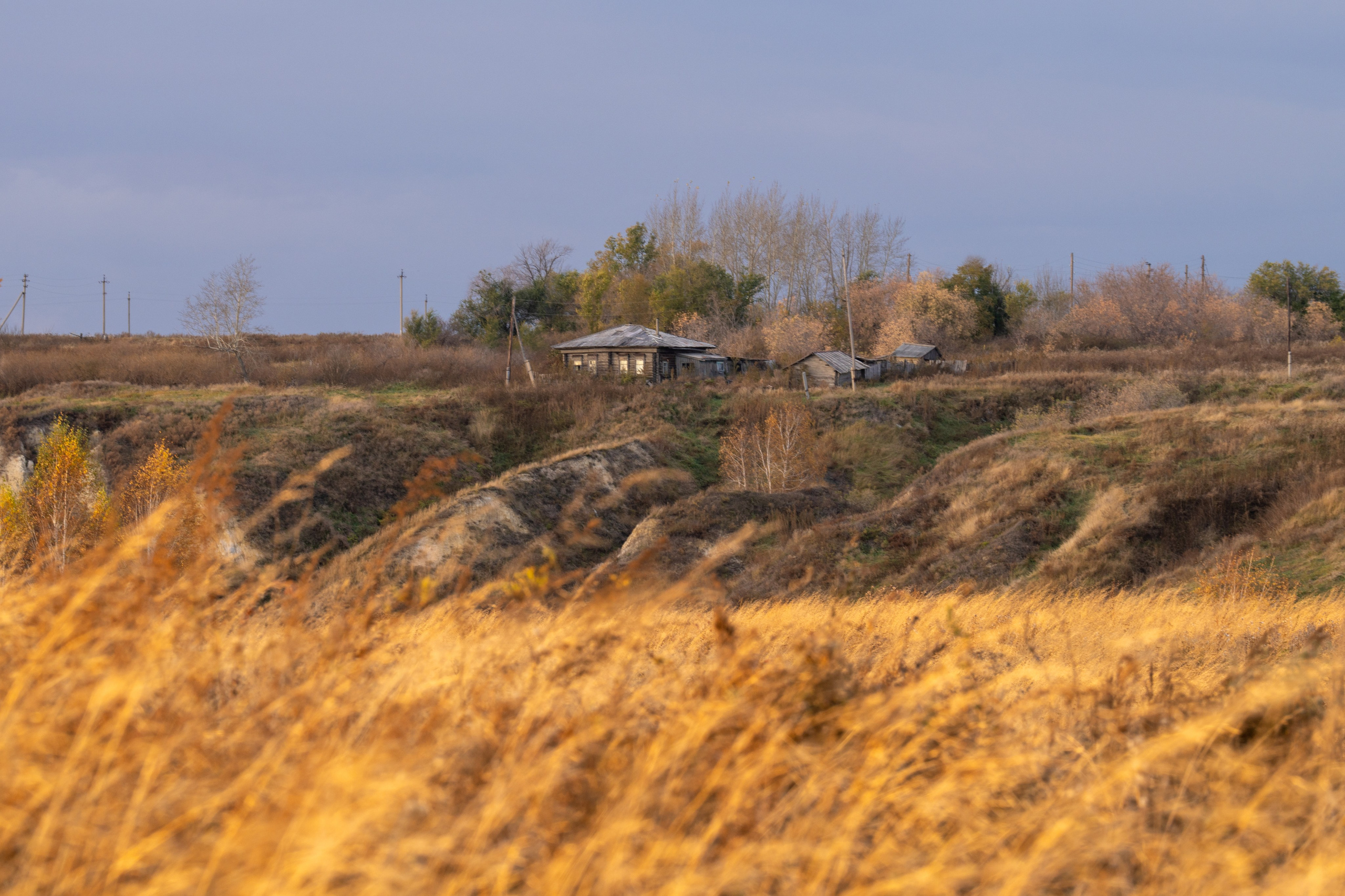 Курганская область. Daria wanderer photography