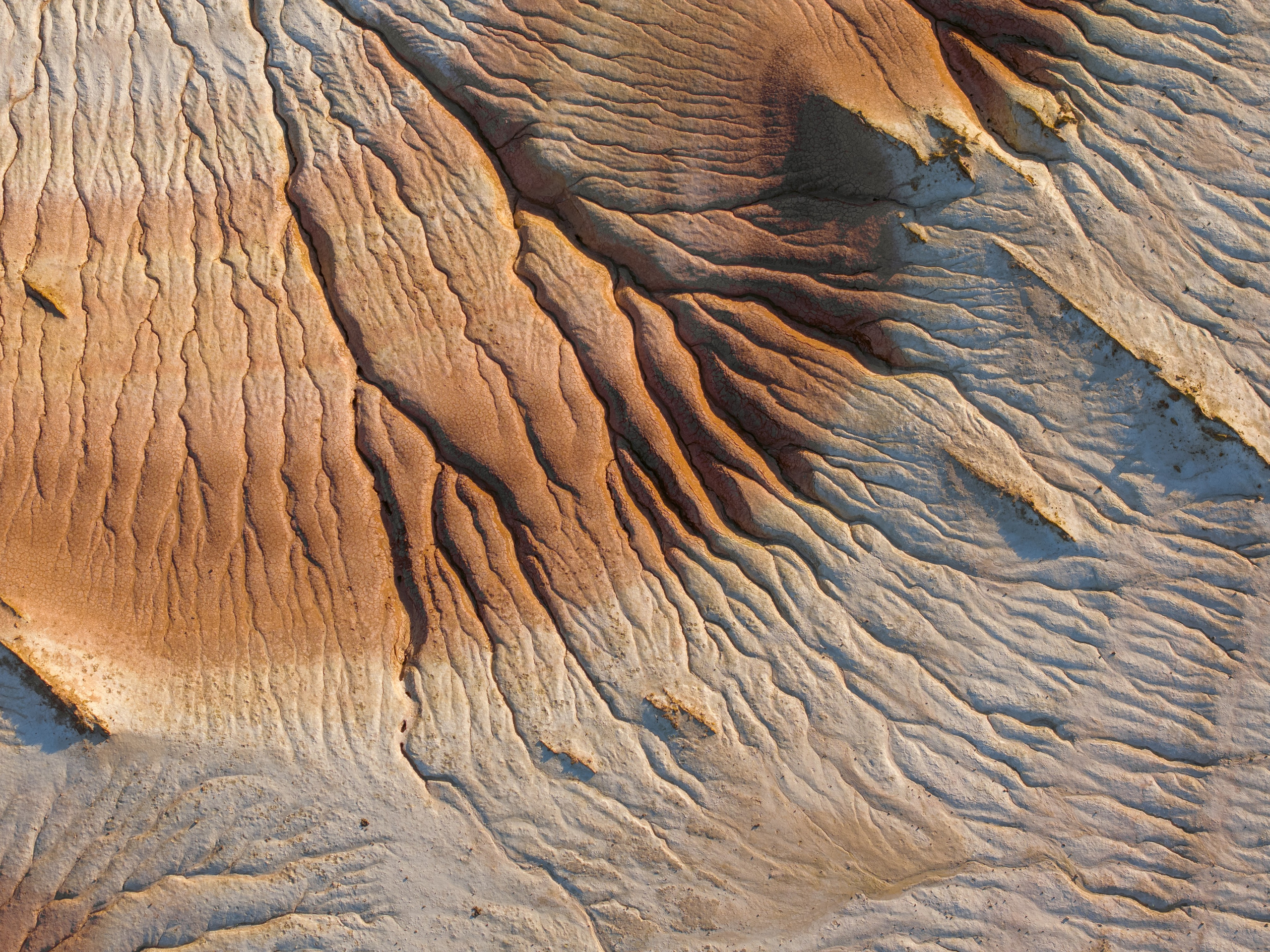 Крупный план + Арт. Daria wanderer photography