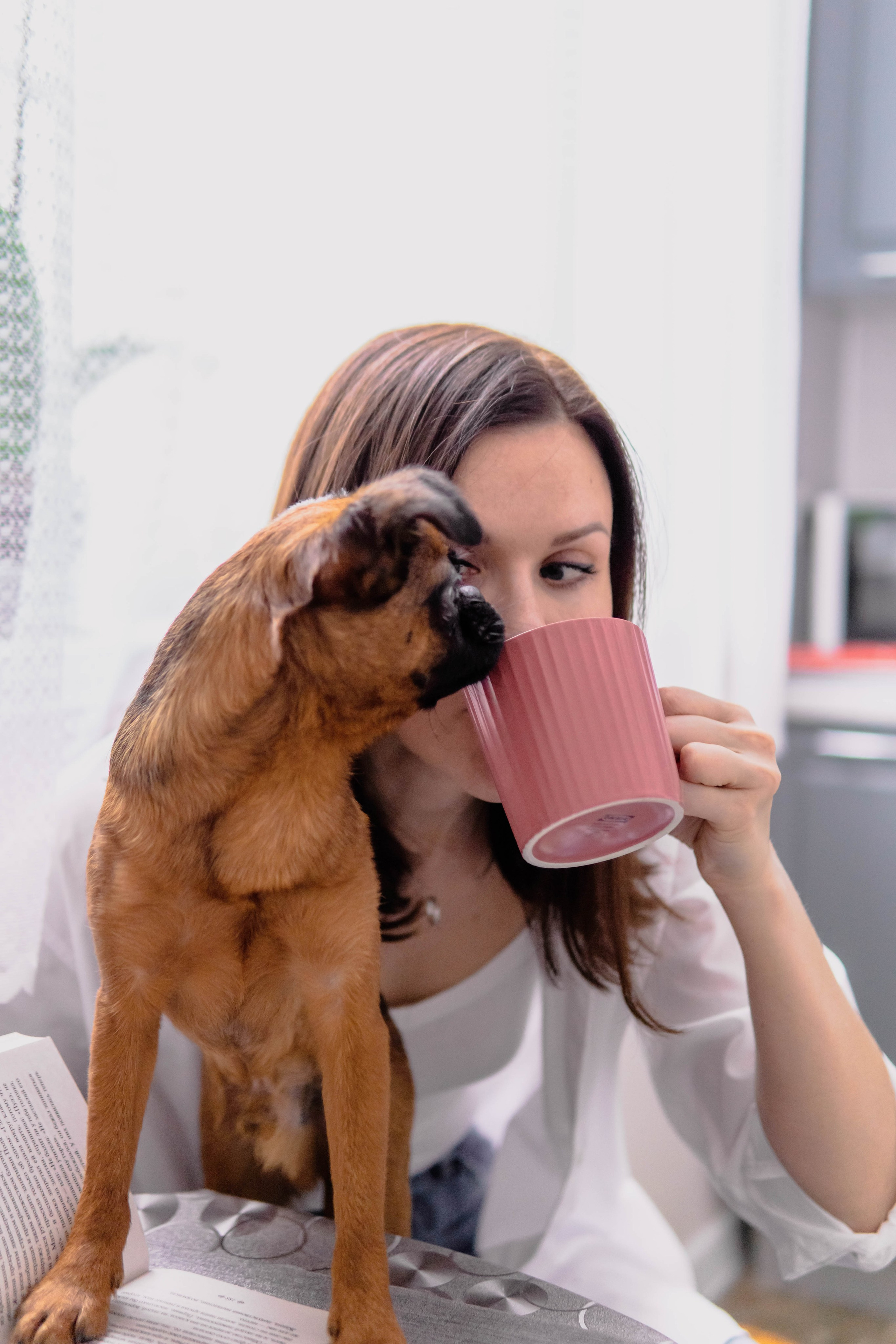 Надя и Ефим. Фотограф-анималист Ксения Воробьева, Москва
