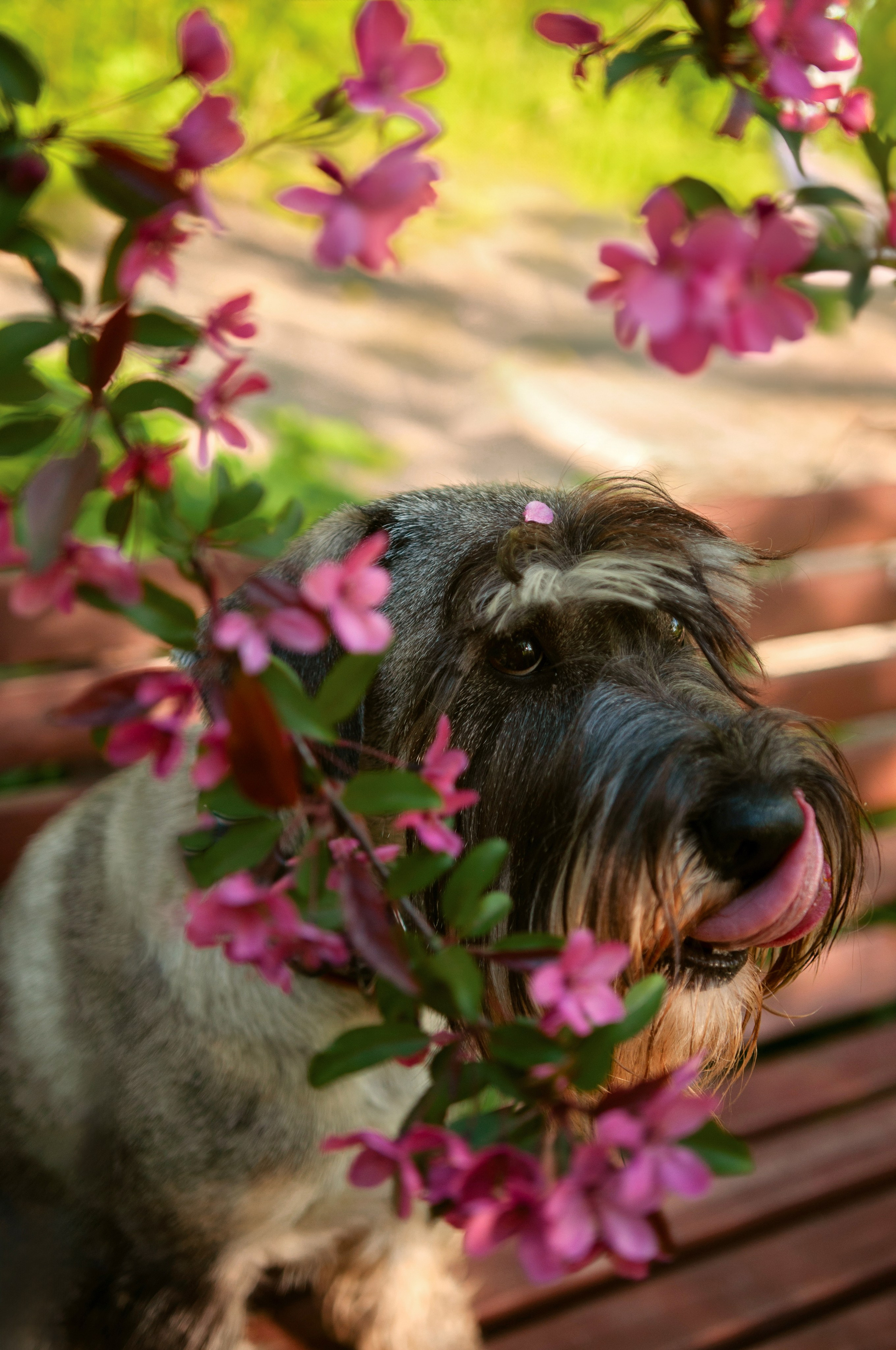 Катя и Дарио