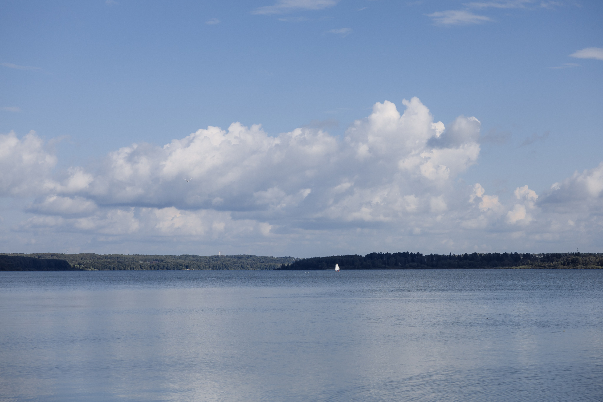 Эмилия & Тимур. RETOUCH-HOUSE