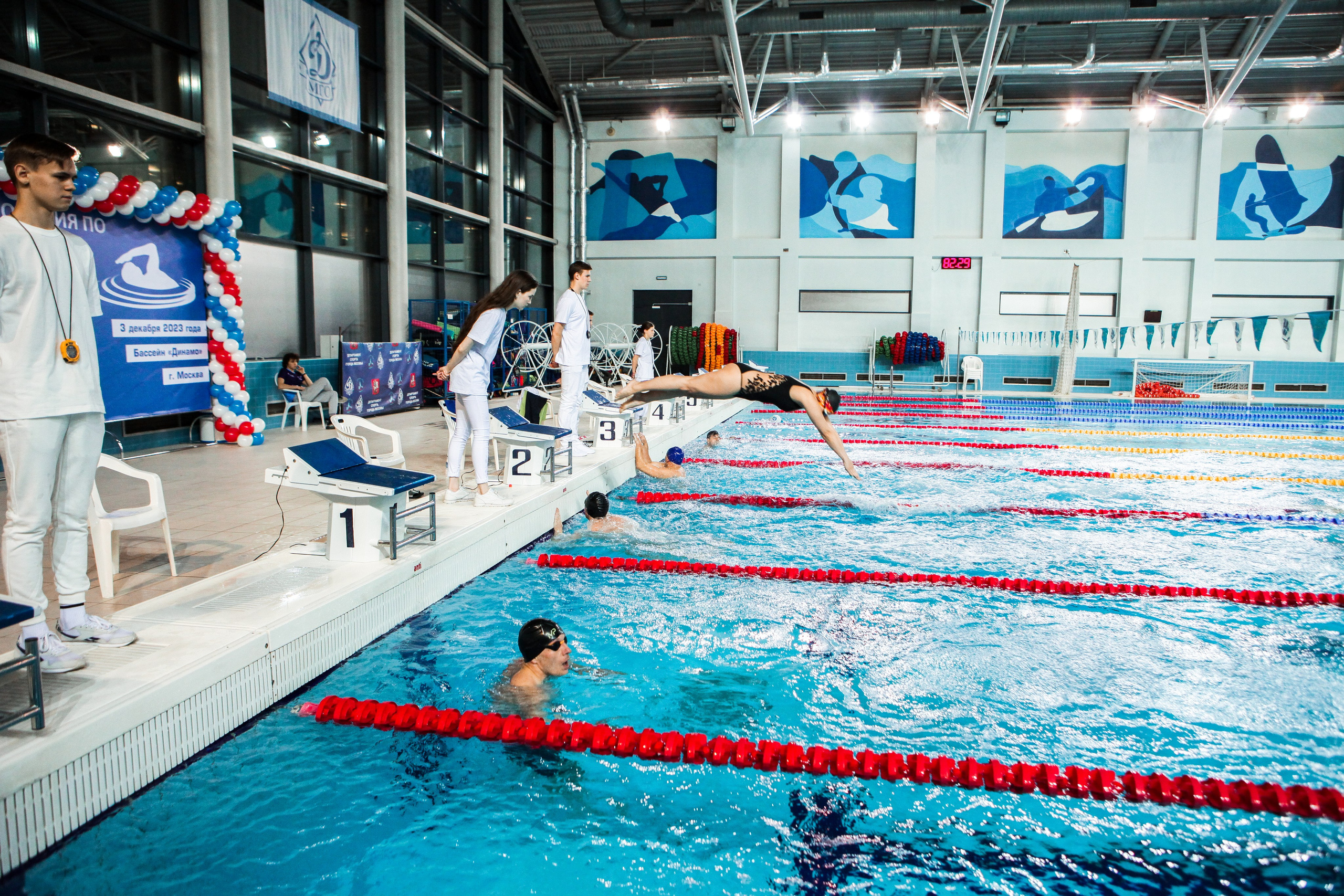 Соревнования по плаванию. Репортажный, семейный, свадебный, портретный фотограф