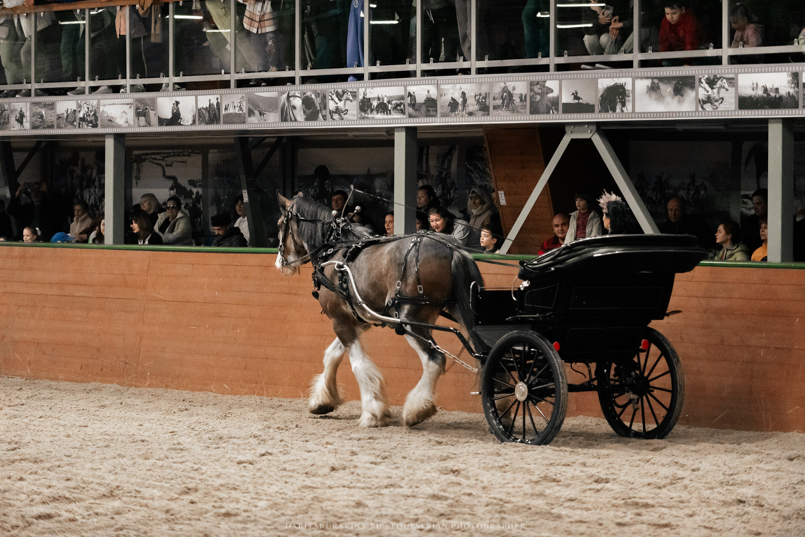 Конное представление «Дыхание Звёзд». Конный фотограф Куракина Дарья • Фотосессии с лошадьми