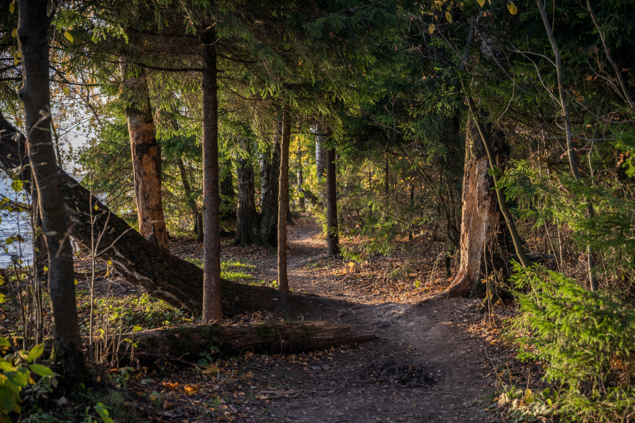 Пейзаж, природа. Портретный фотограф Станислав Жуков | Москва