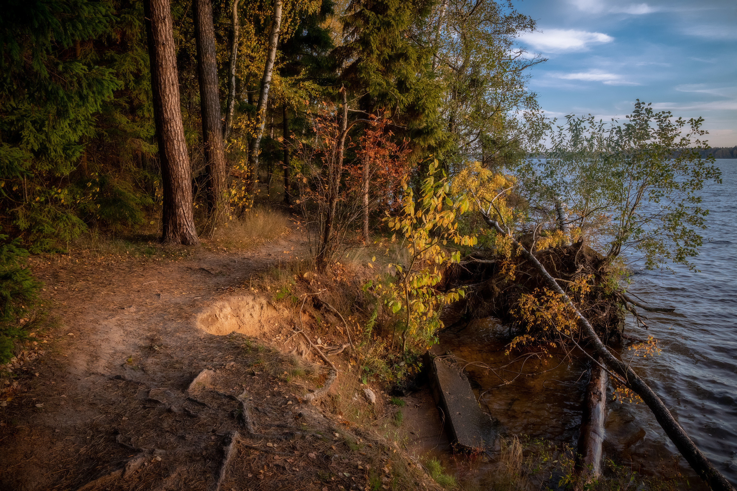 Пейзаж, природа. Портретный фотограф Станислав Жуков | Москва