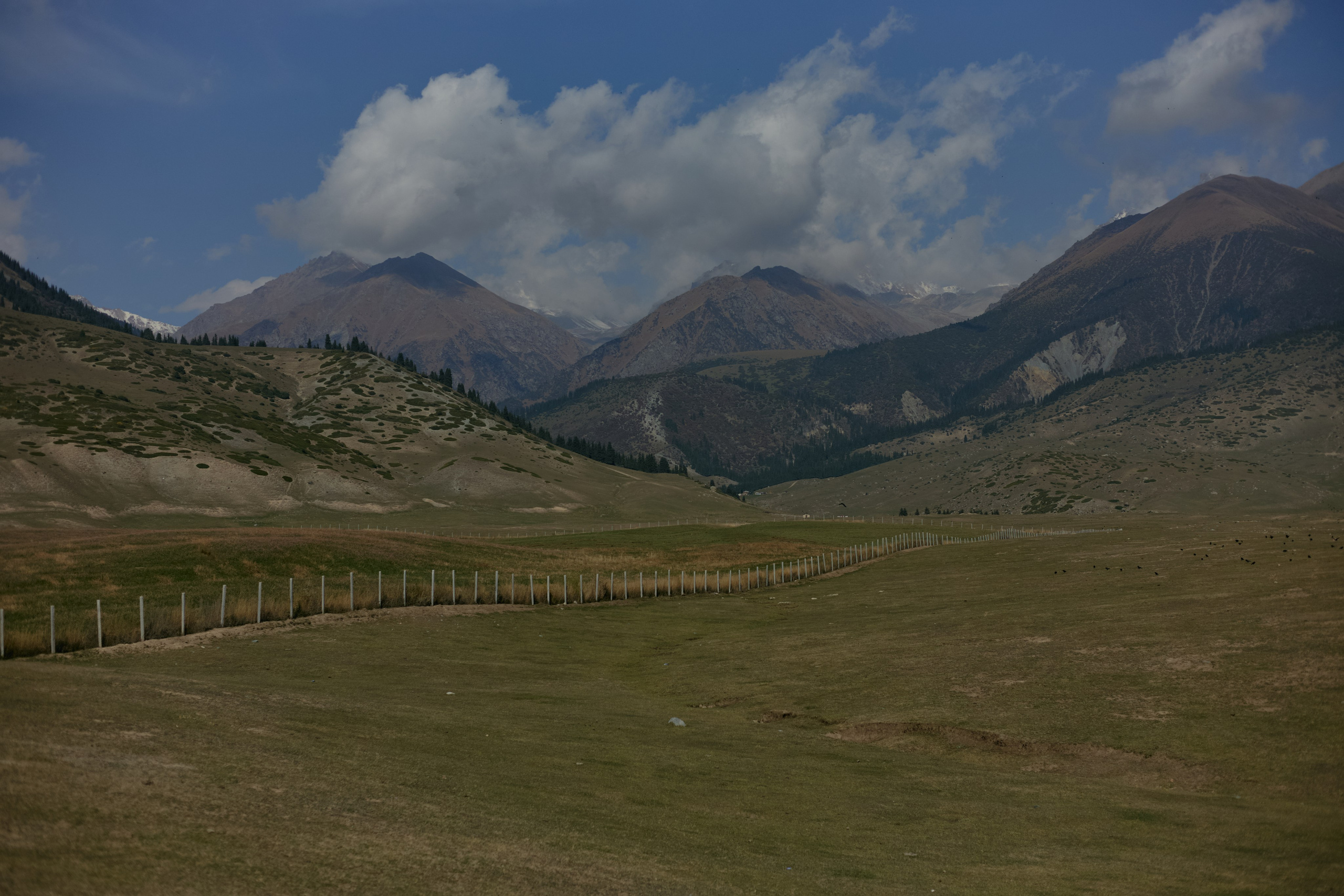 Кыргызтан. Профессиональный Фотограф во Владимире, в Москве и в Суздале — Полина Романычева